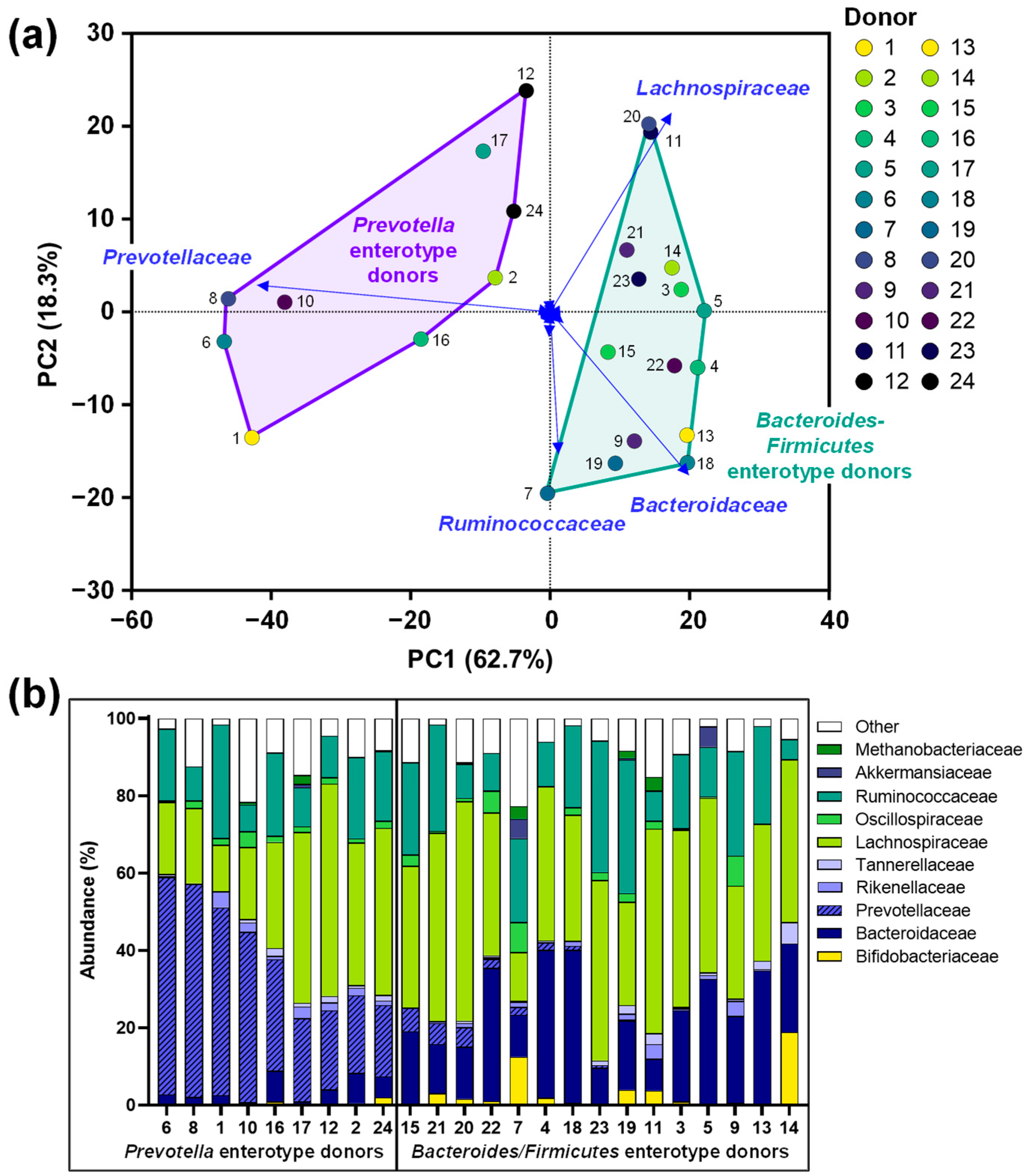 Nutrients 16 01585 g002