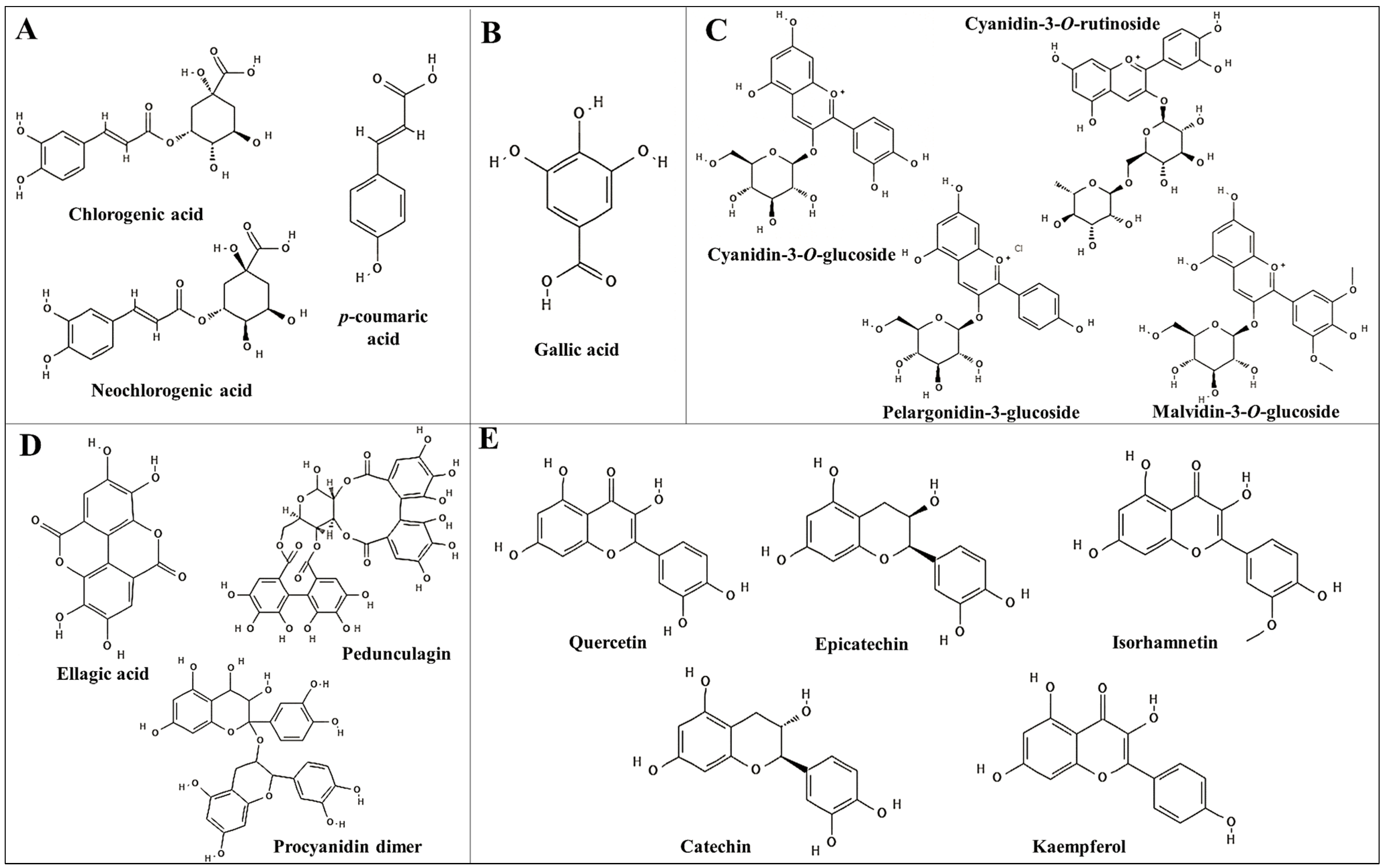 Nutrients 16 01597 g002