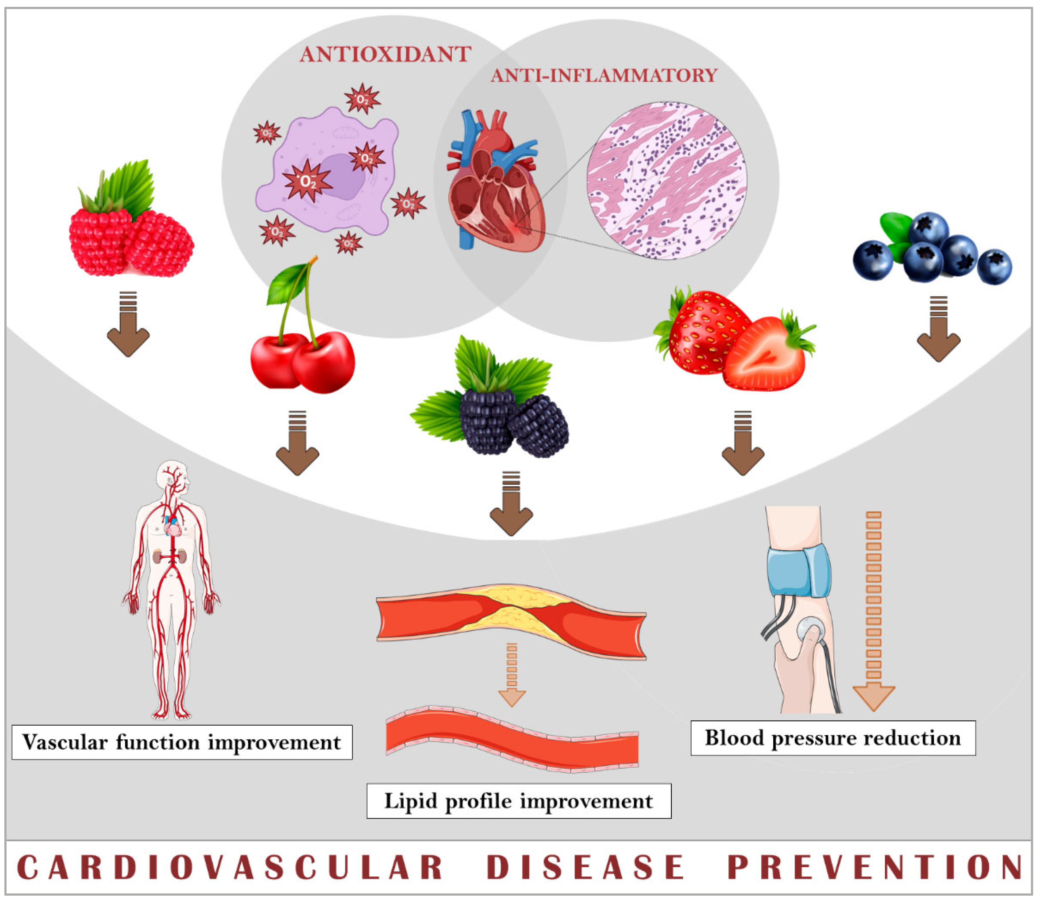 Nutrients 16 01597 g003
