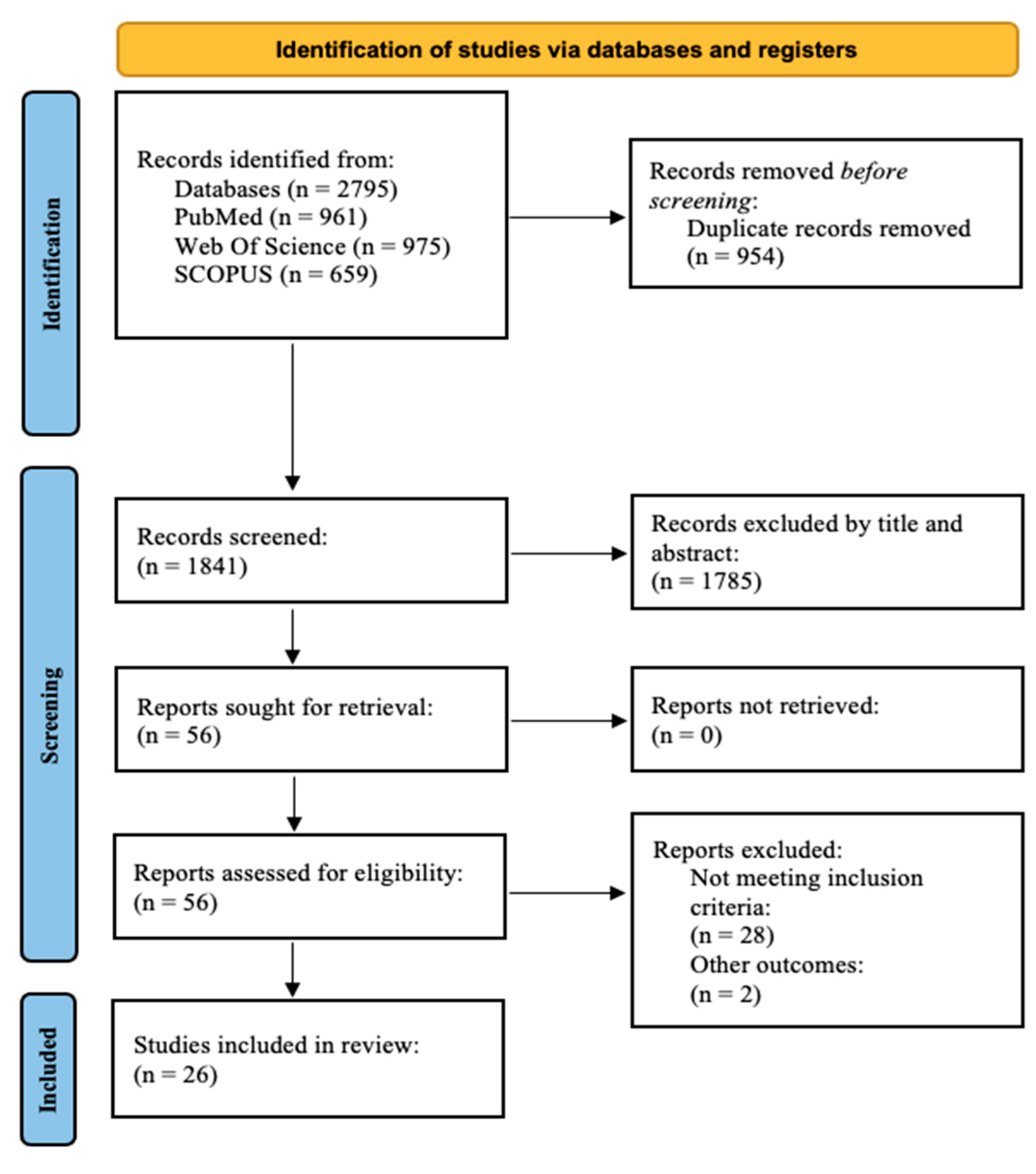 Nutrients 16 01599 g001