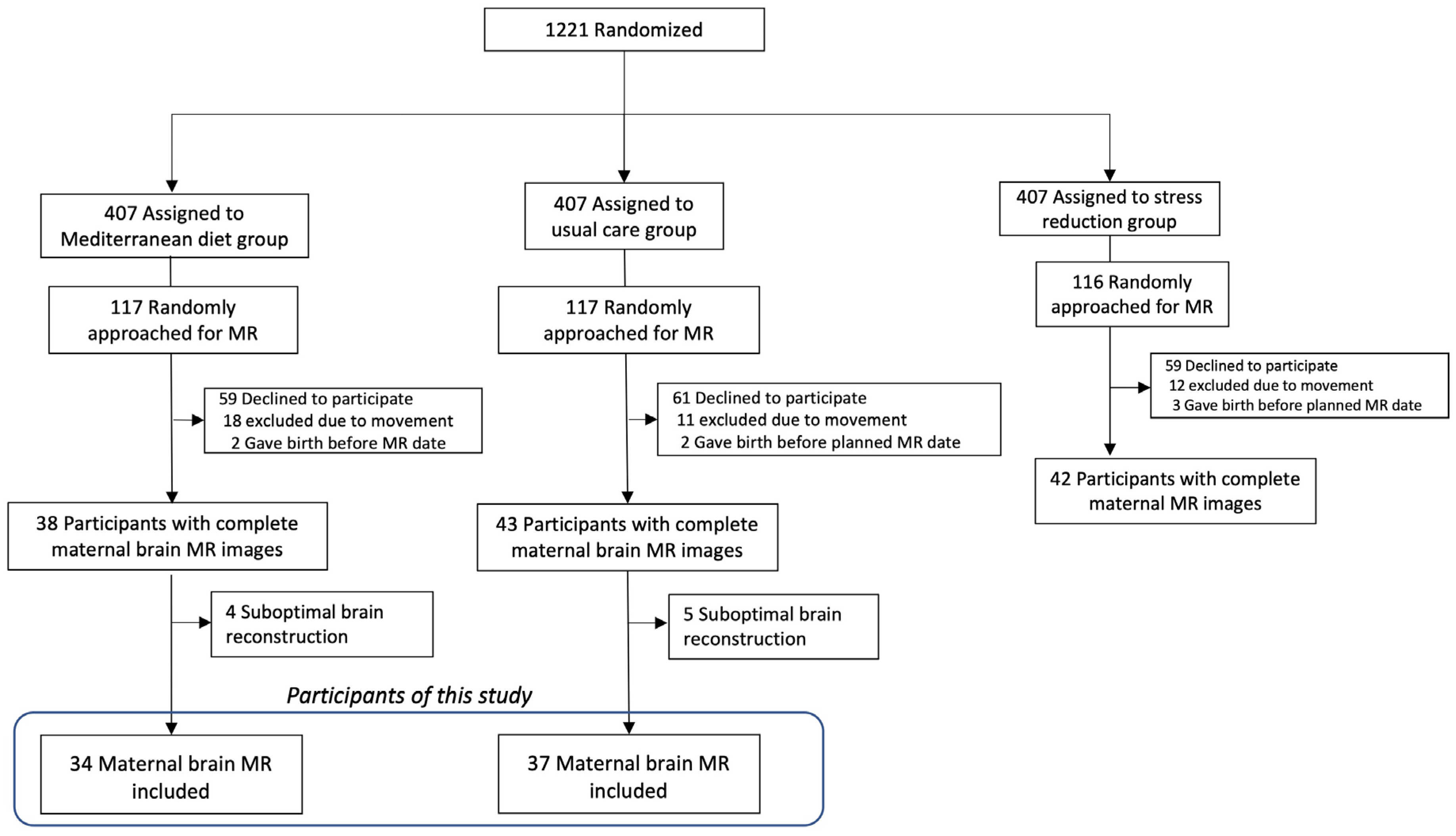 Nutrients 16 01604 g001