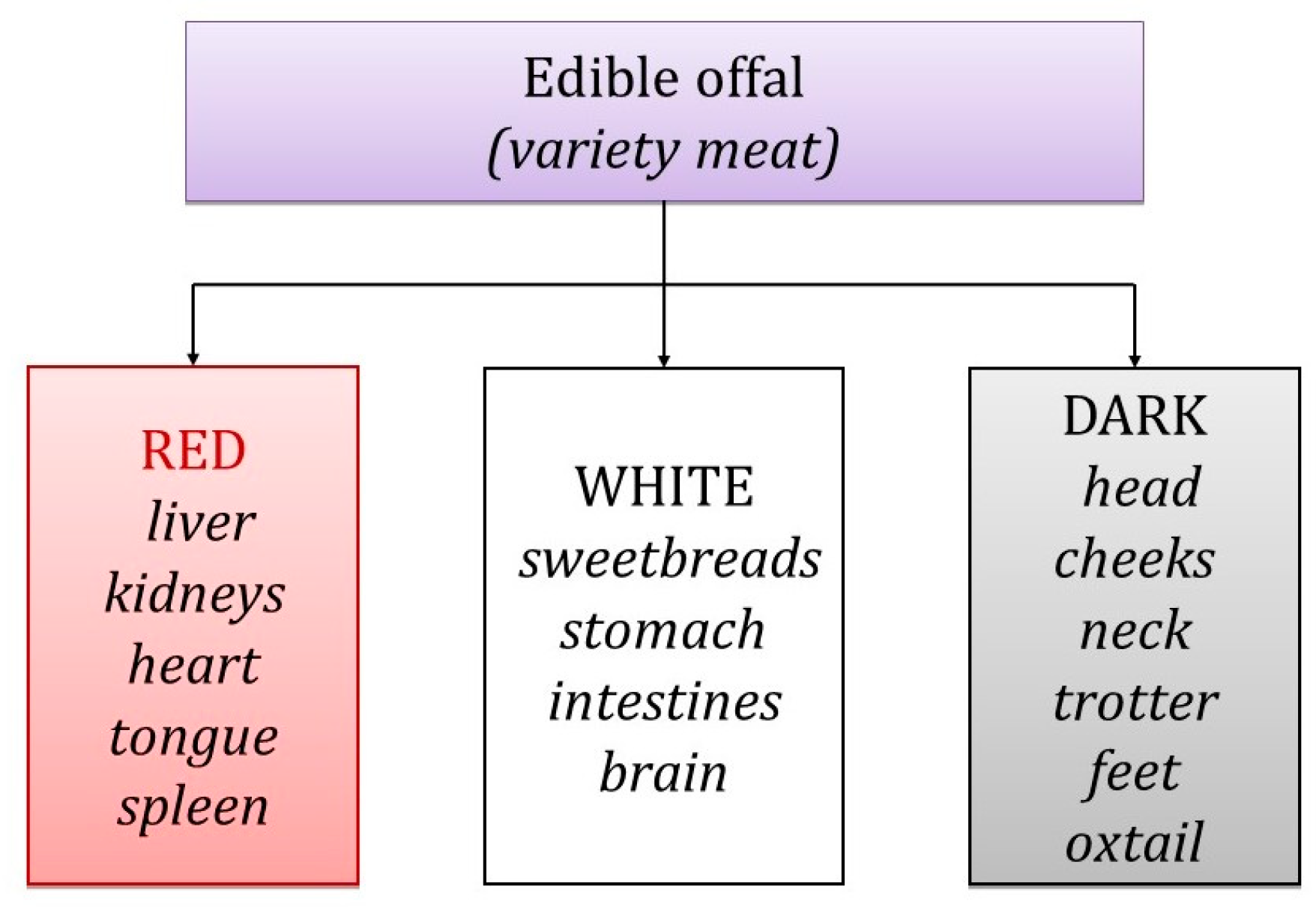 Nutrients 16 01609 g002