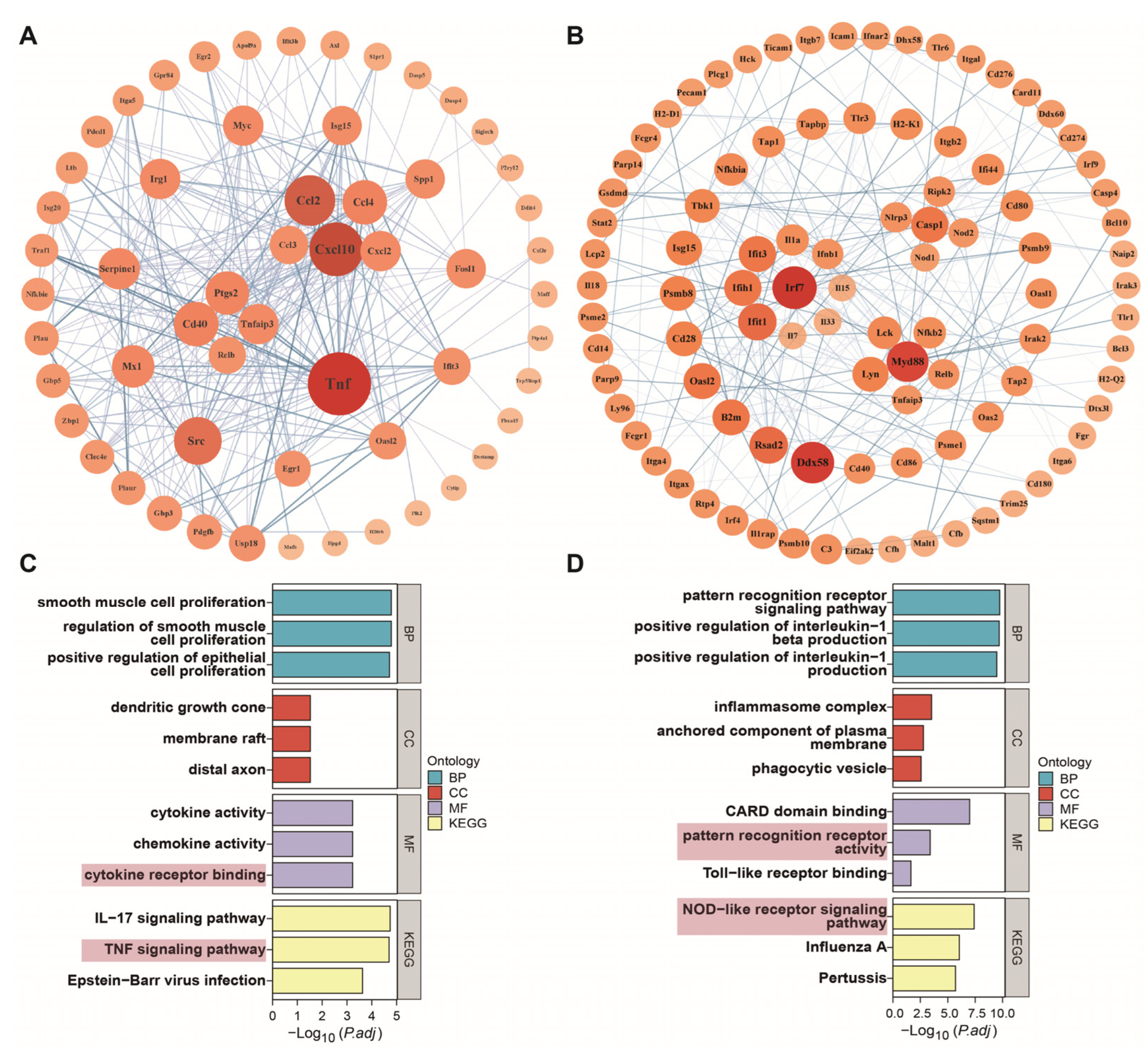Nutrients 16 01654 g005