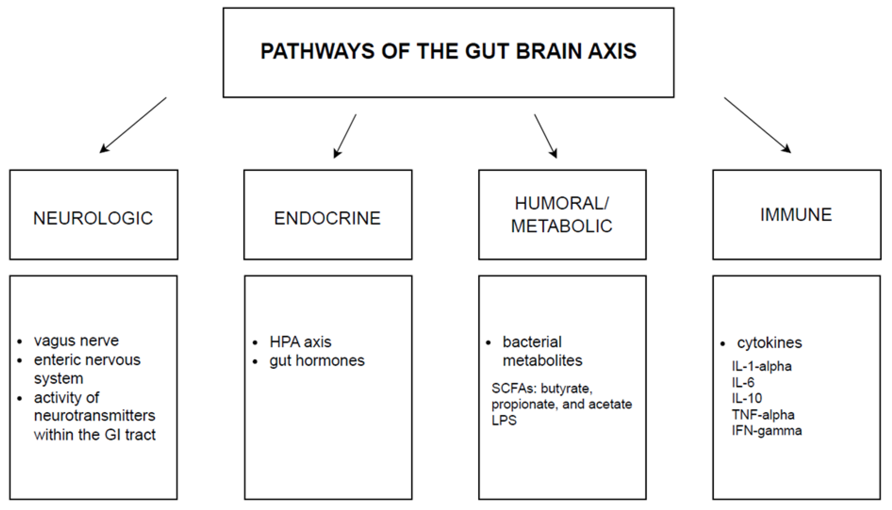 Nutrients 16 01665 g001