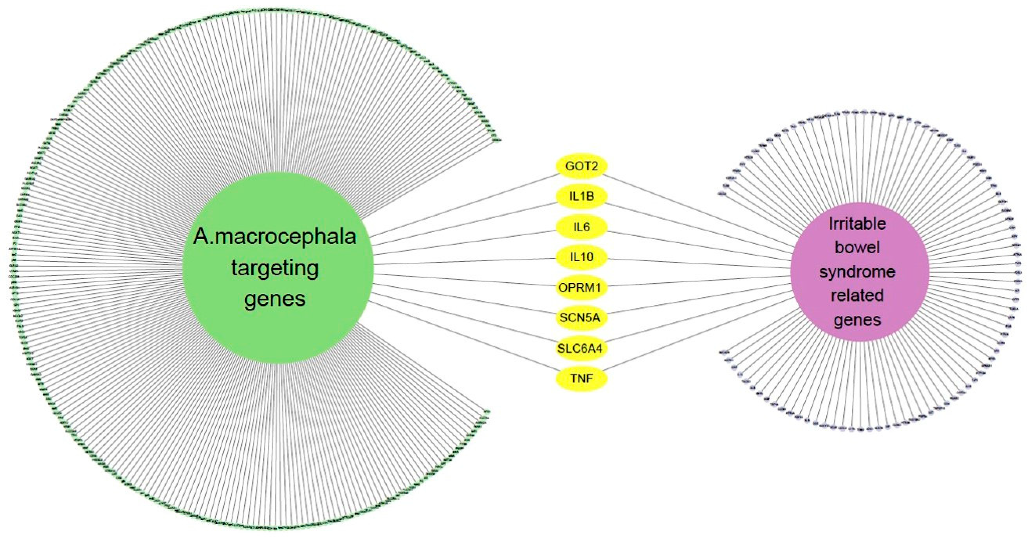 Nutrients 16 01683 g003