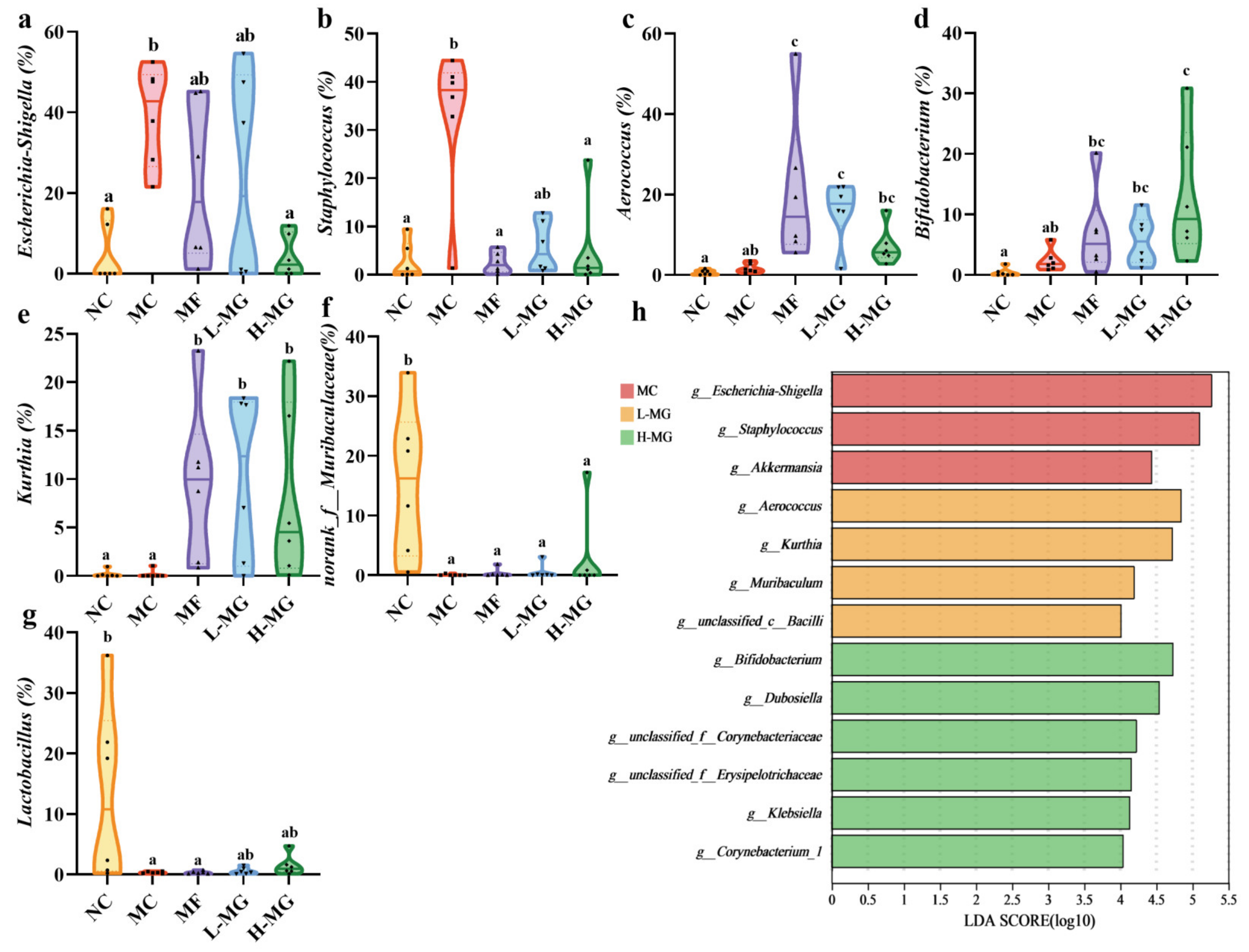 Nutrients 16 01691 g005