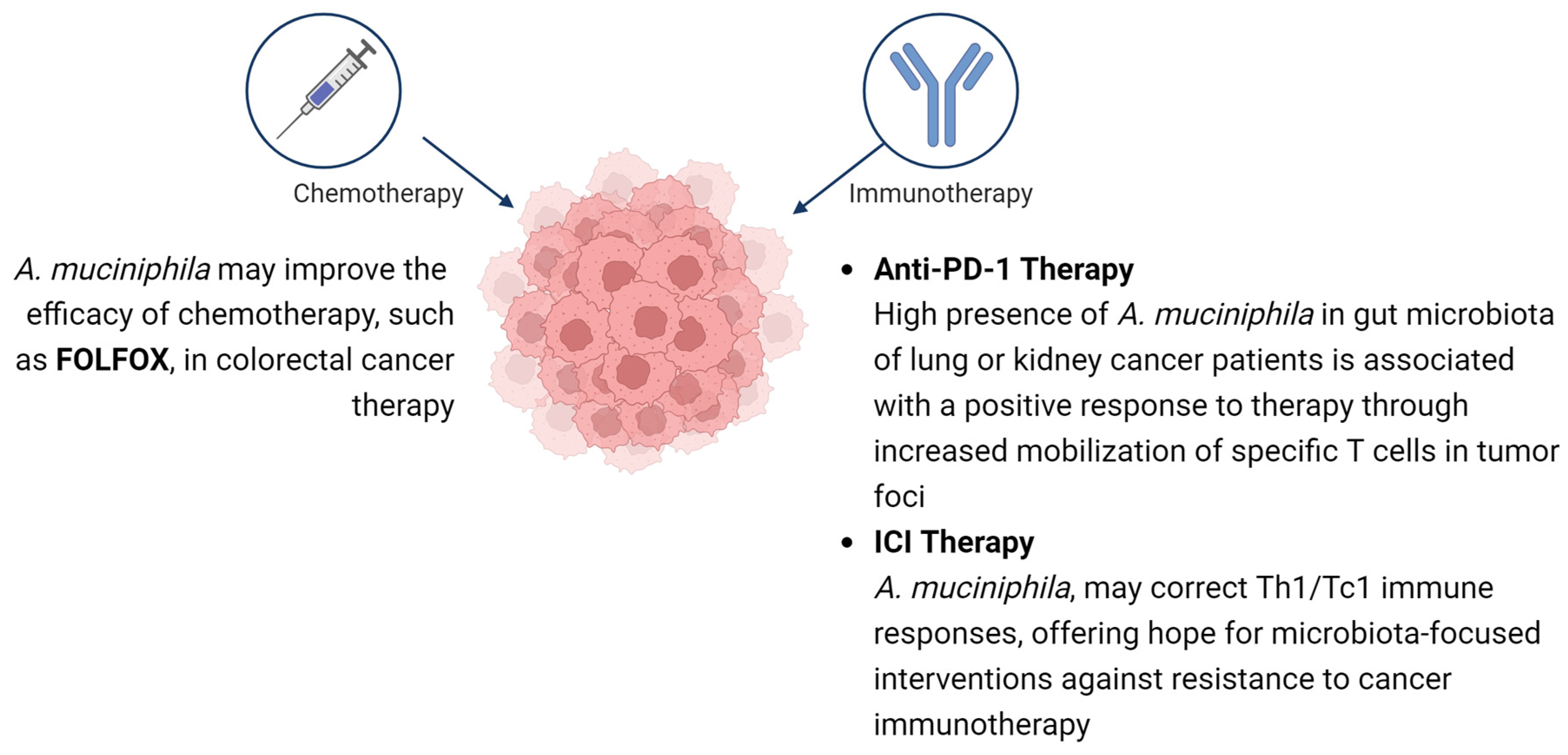 Nutrients 16 01695 g002