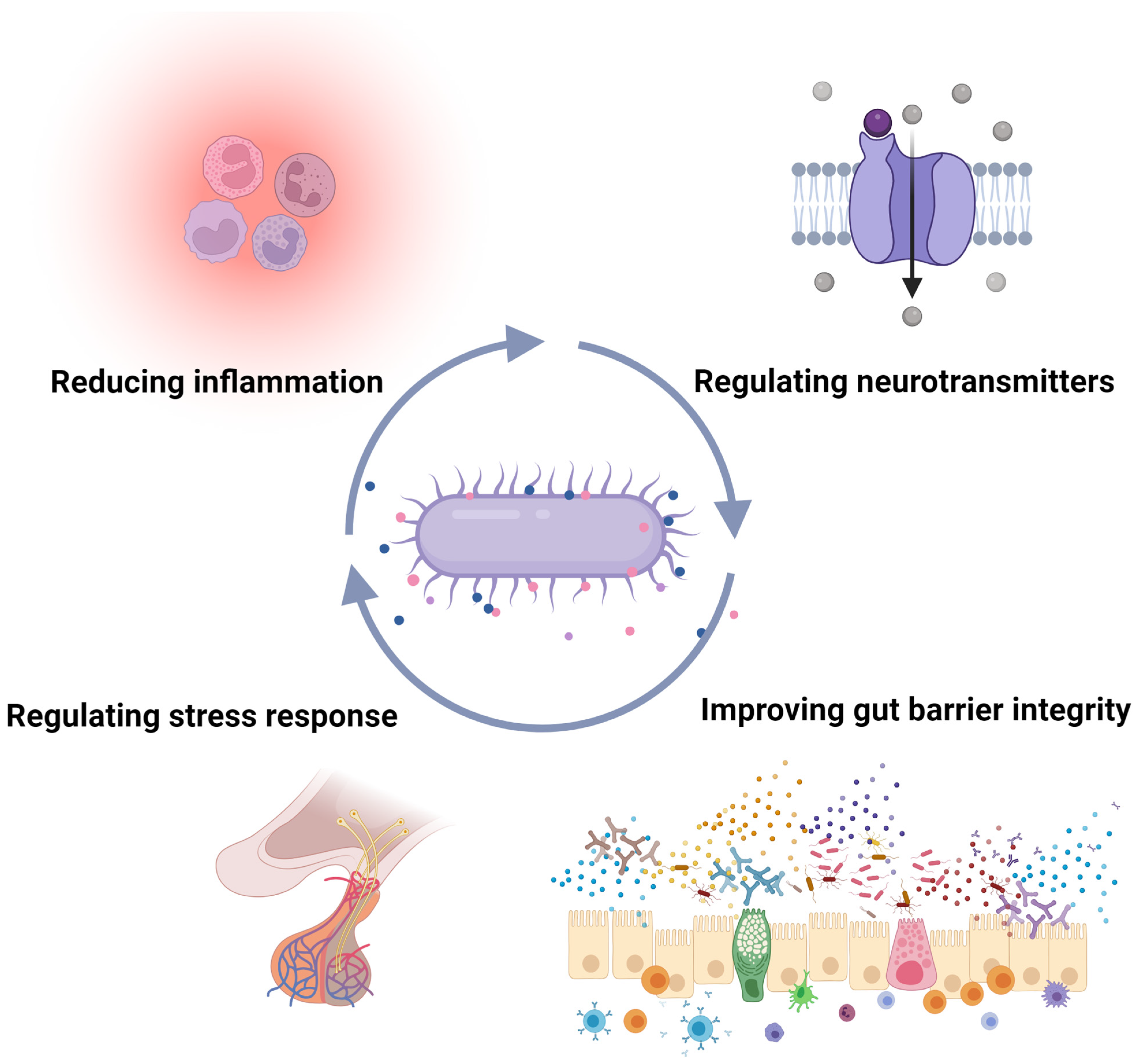 Nutrients 16 01695 g004