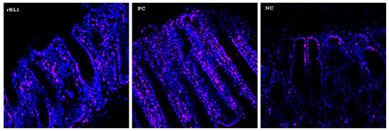 Nutrients 16 01705 g0a1
