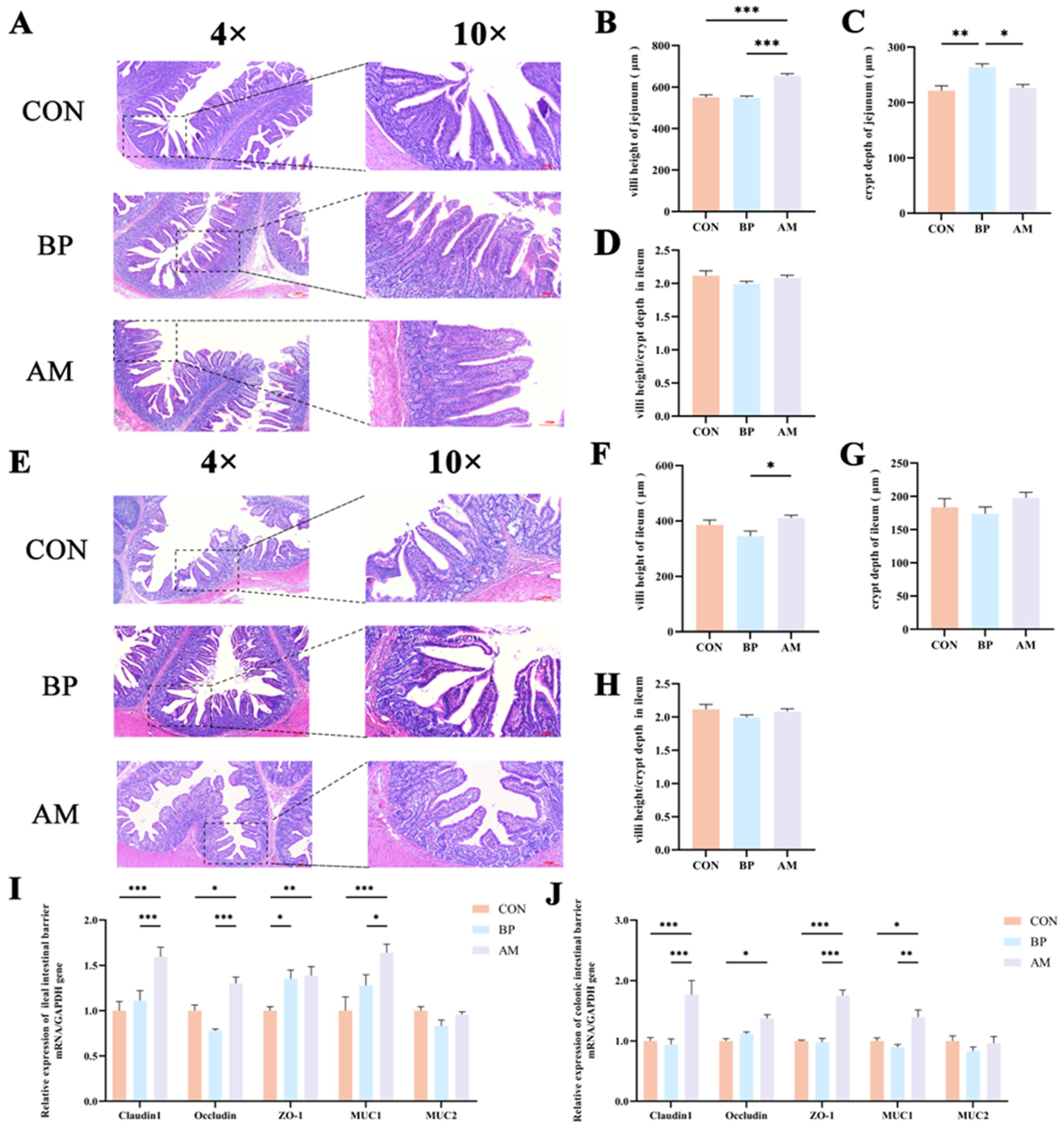 Nutrients 16 01714 g003