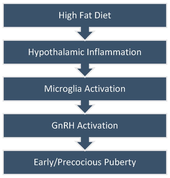 Nutrients 16 01720 g001