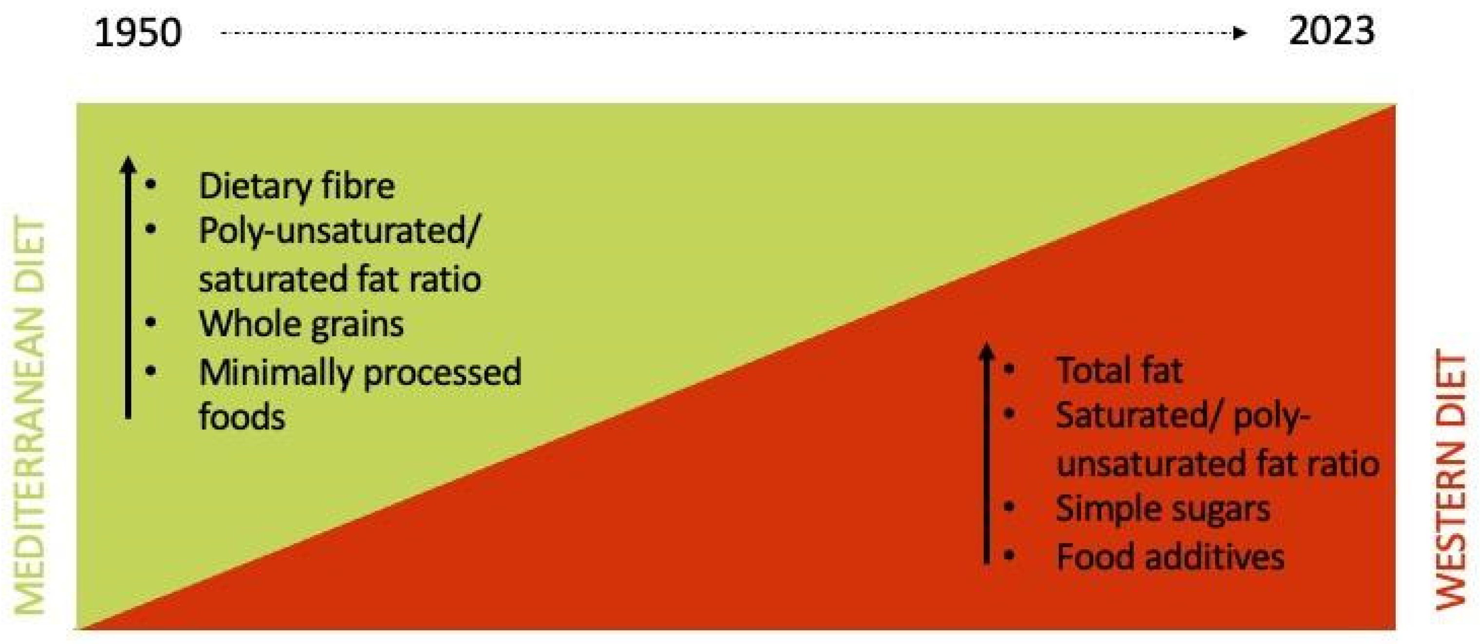 Nutrients 16 01745 g001