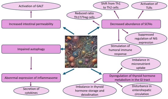 Nutrients 16 01762 g001