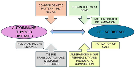 Nutrients 16 01762 g002