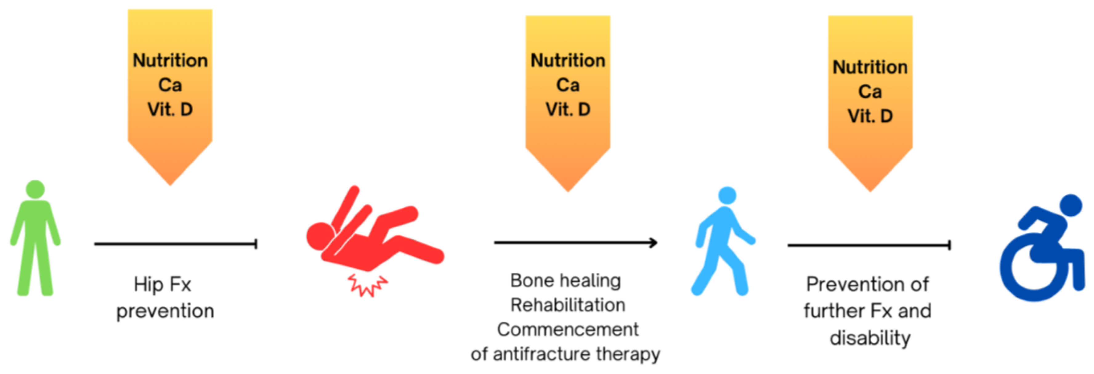Nutrients 16 01773 g001