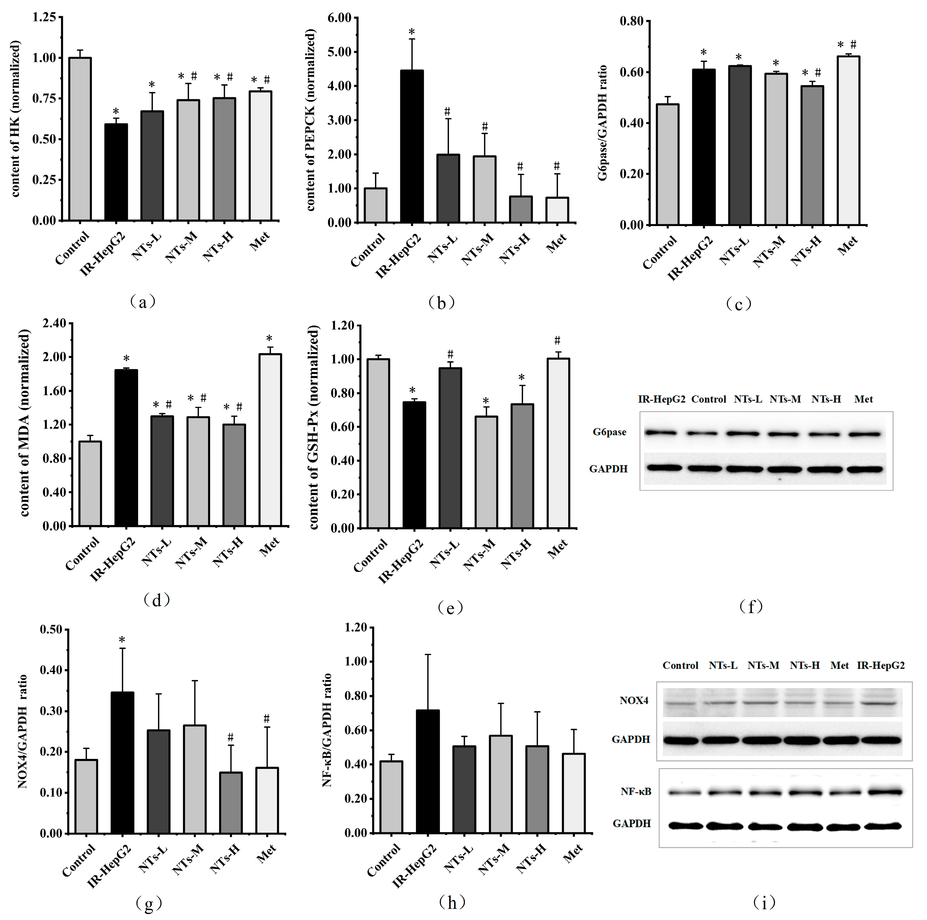 Nutrients 16 01801 g002
