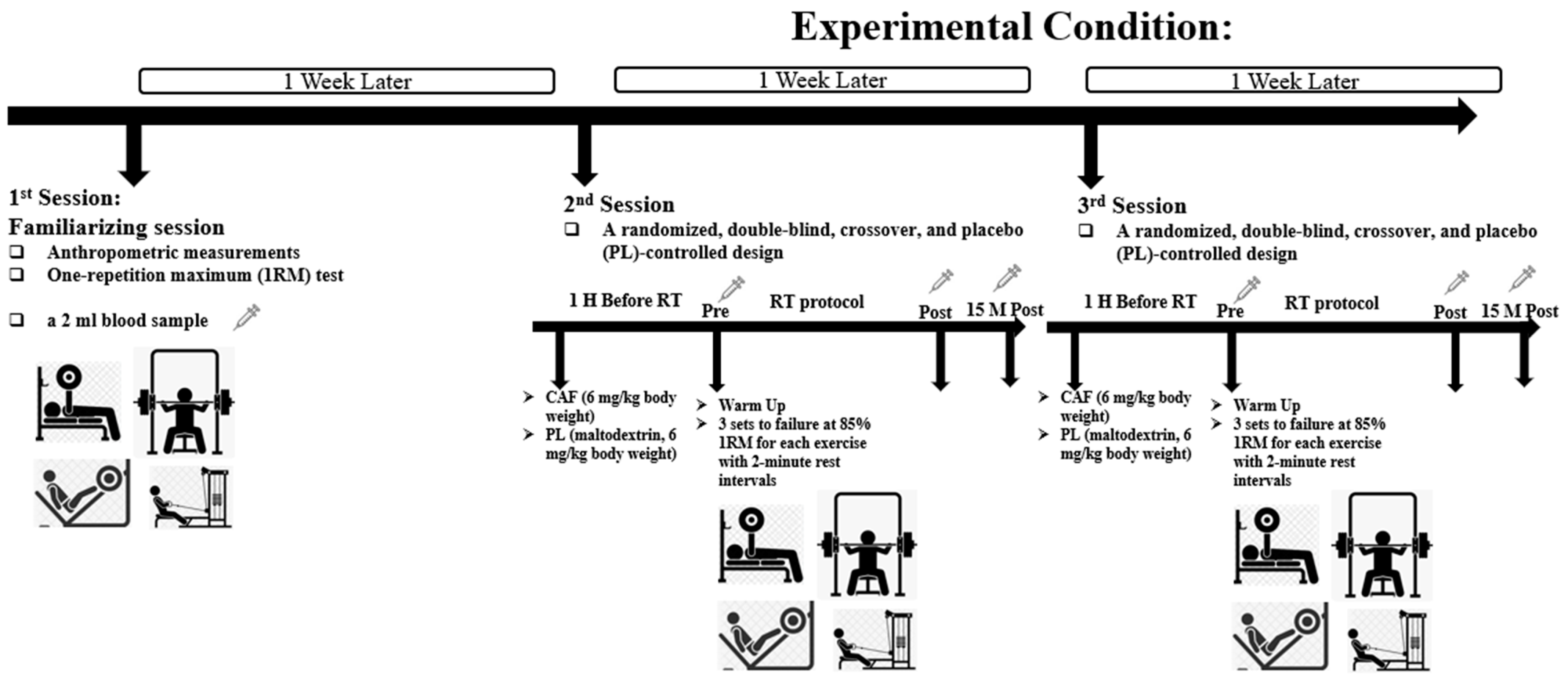 Nutrients 16 01803 g001 Nutrients 16 01803 g001