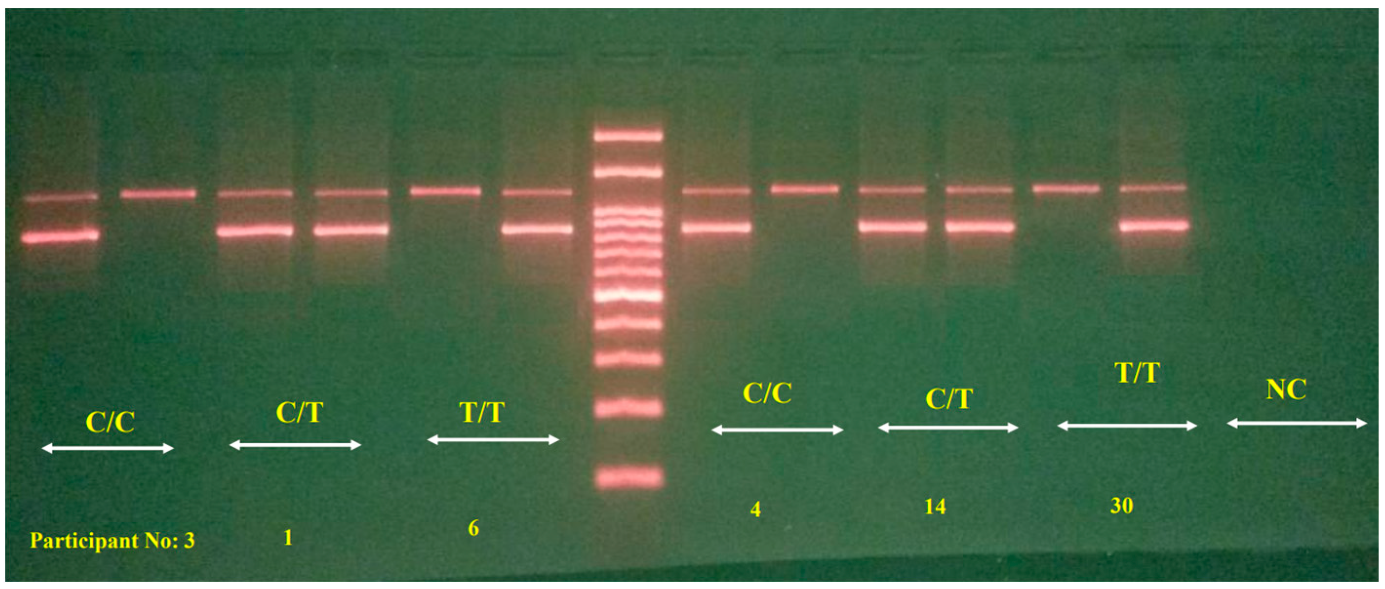 Nutrients 16 01803 g002 Nutrients 16 01803 g002