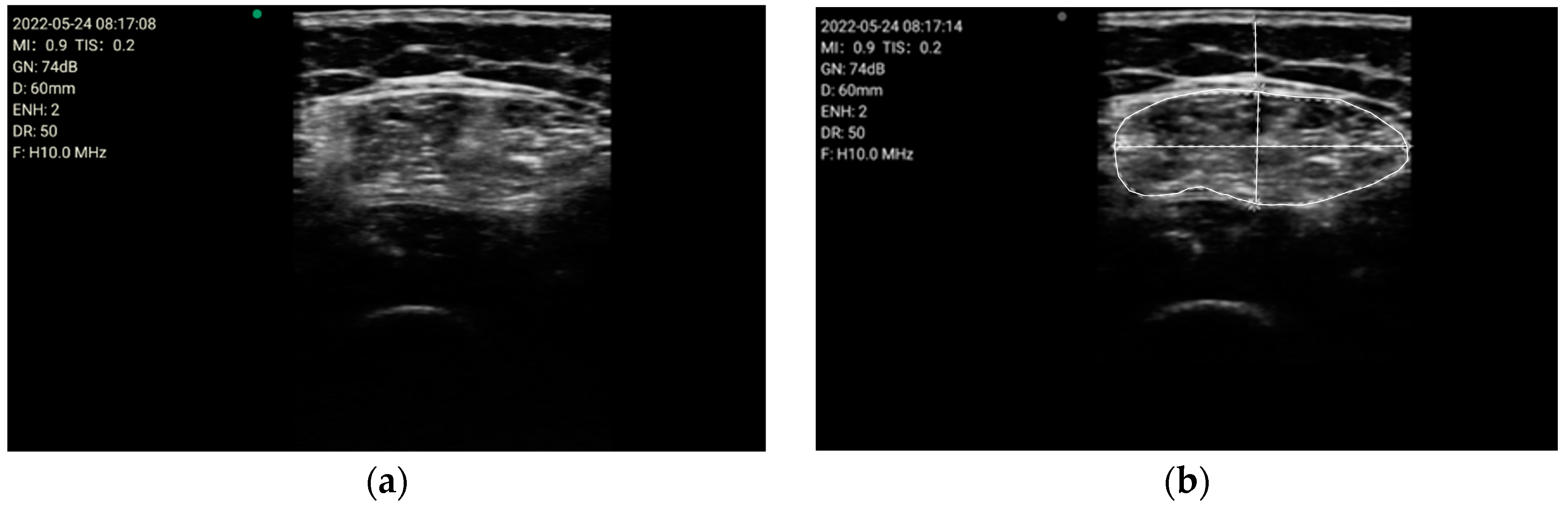 Nutrients 16 01806 g002