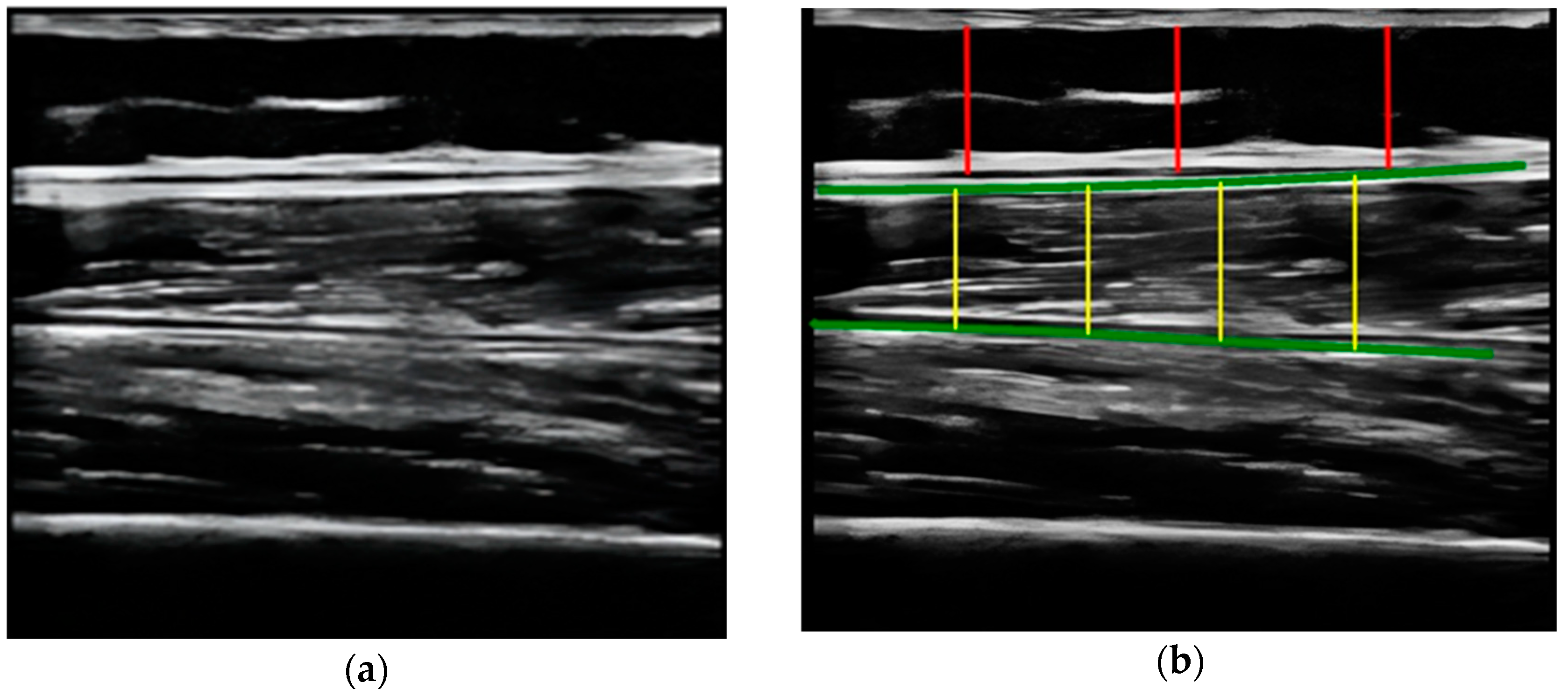 Nutrients 16 01806 g004