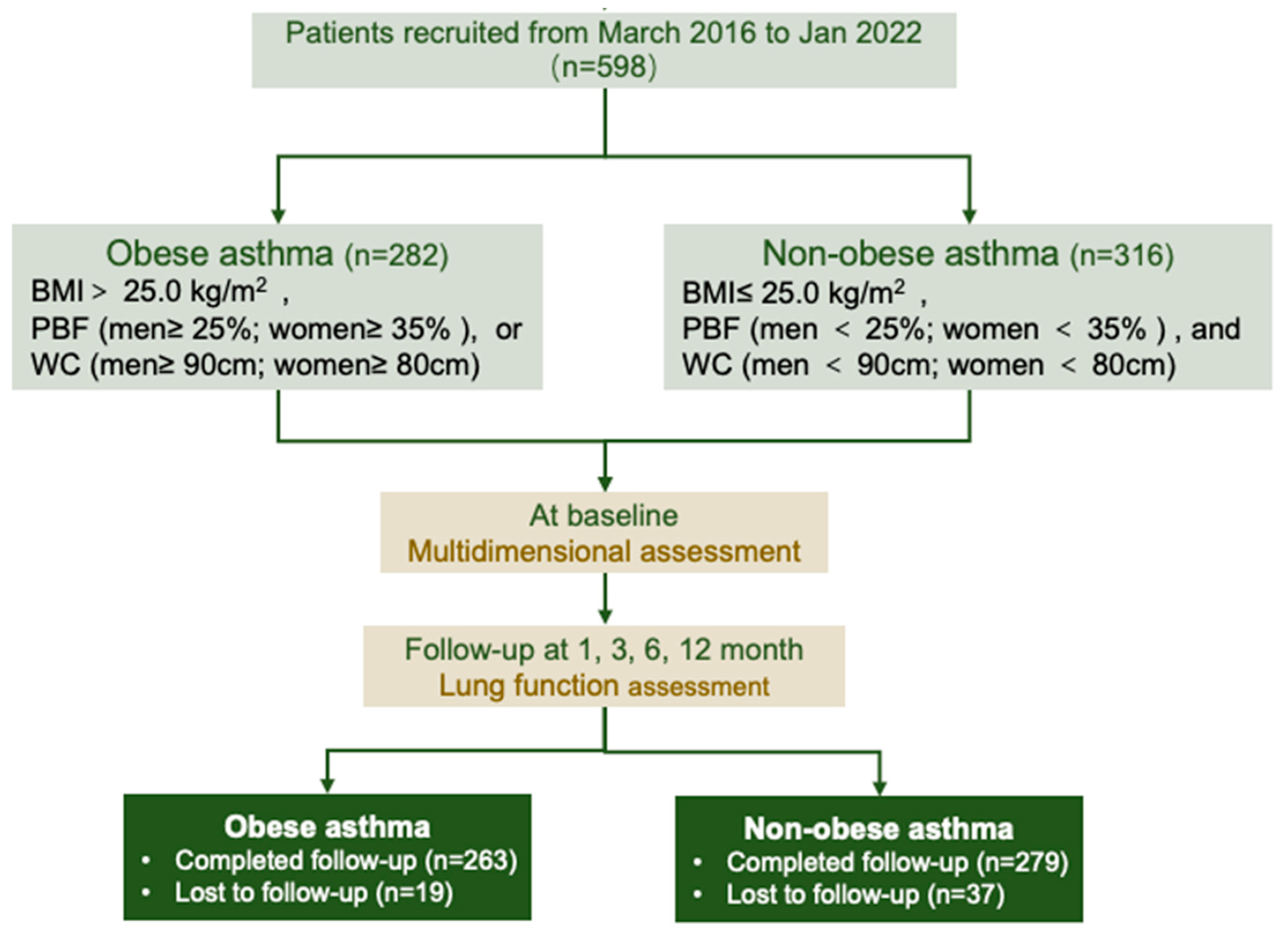 Nutrients 16 01809 g001