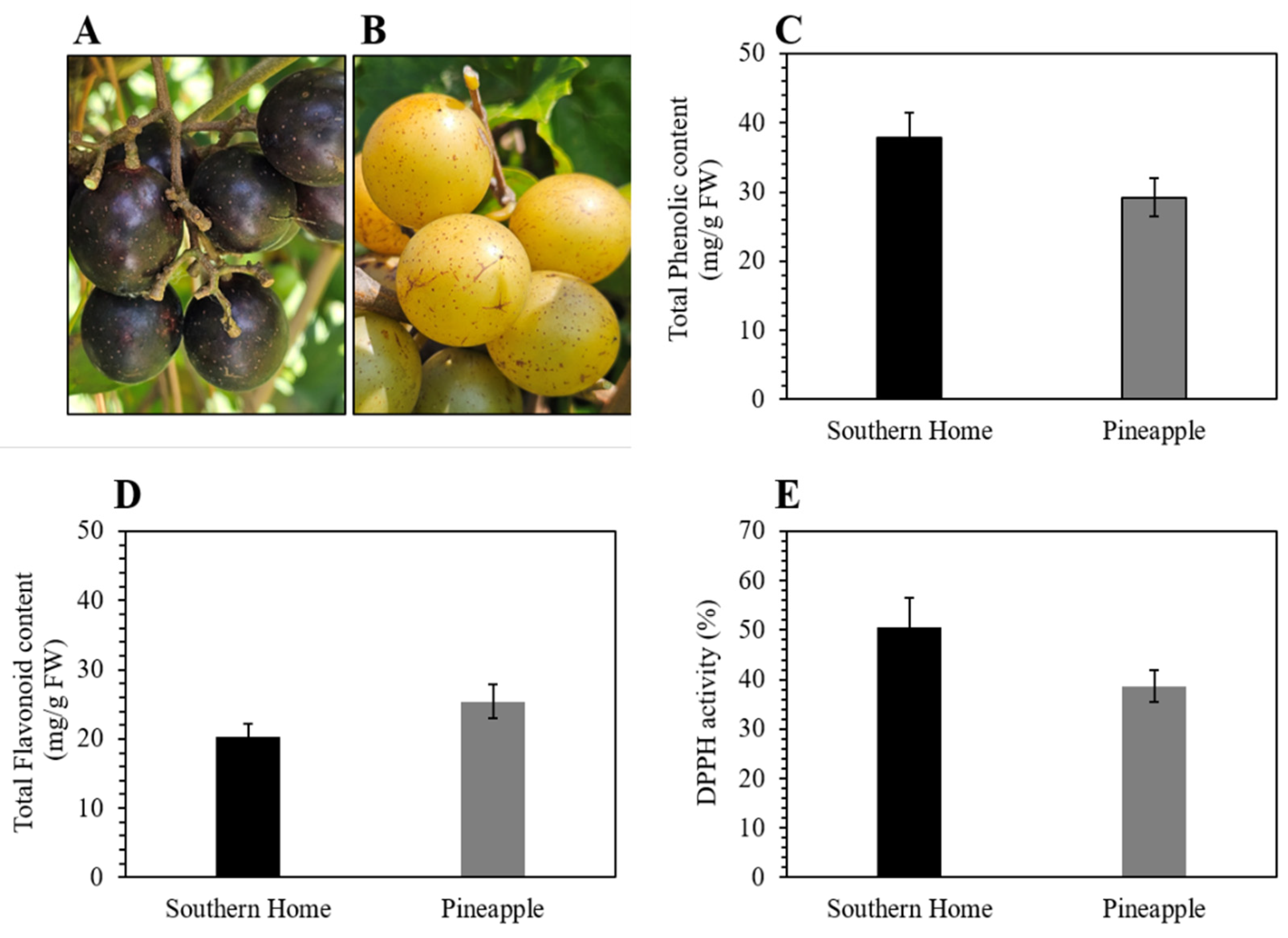 Nutrients 16 01817 g001