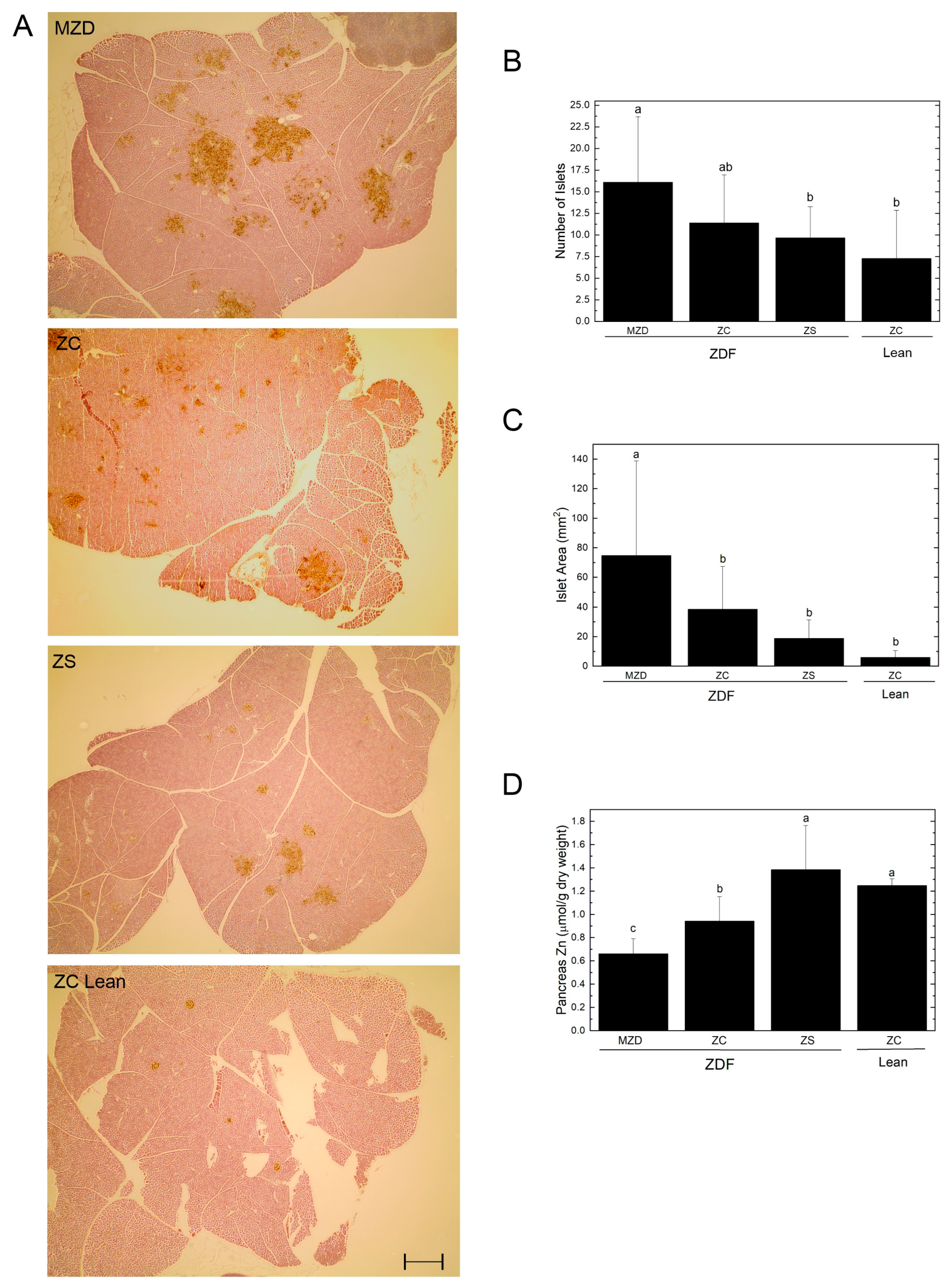 Nutrients 16 01819 g002
