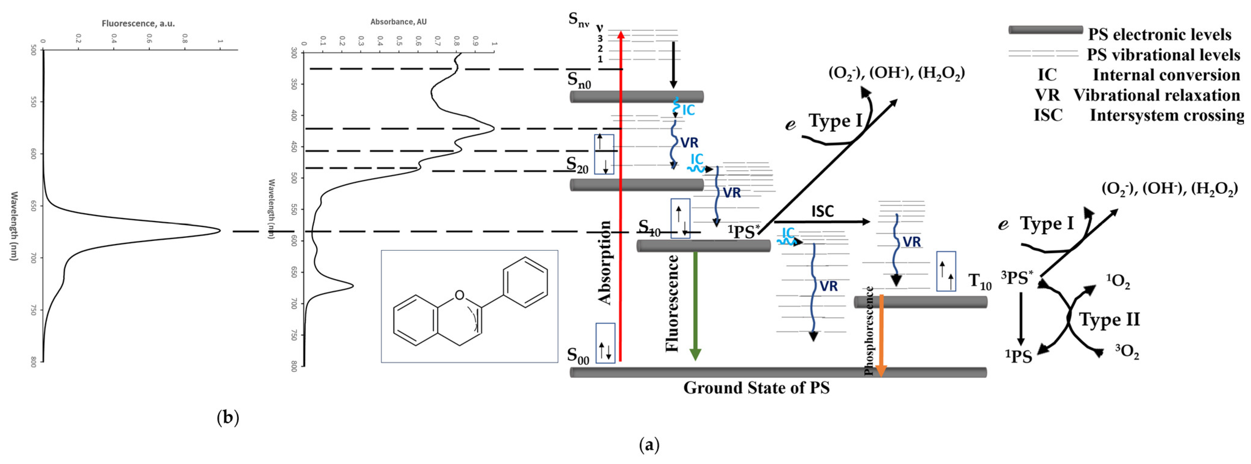Nutrients 16 01820 g001