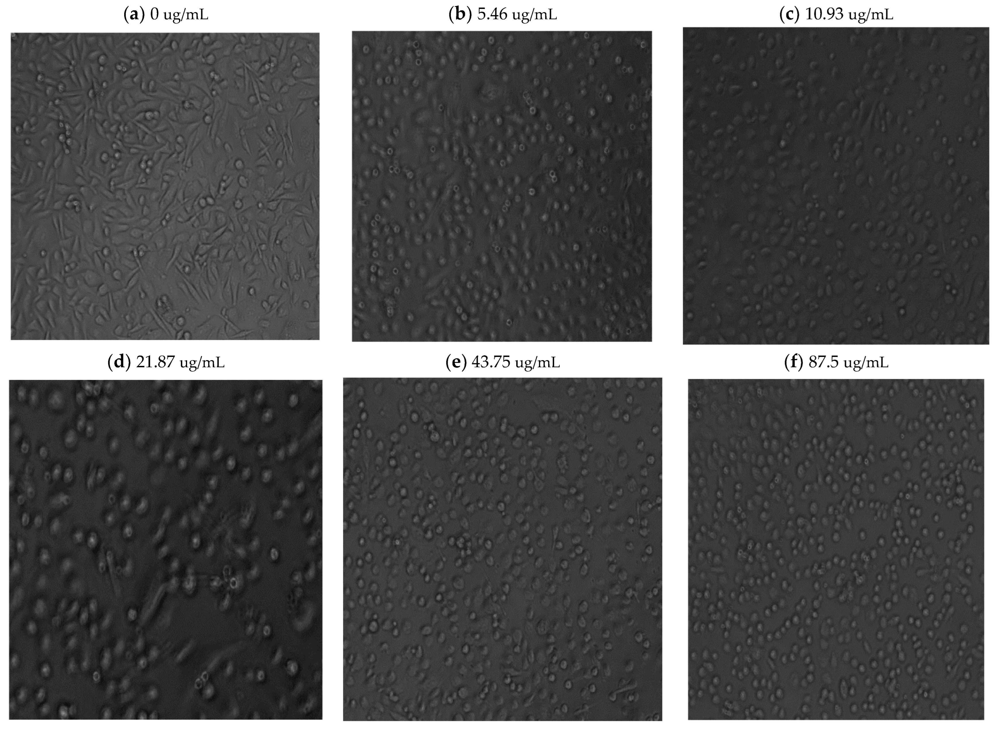 Nutrients 16 01820 g0a1a