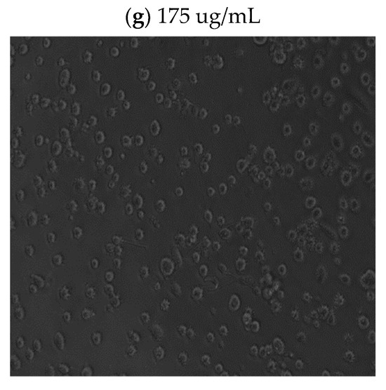 Nutrients 16 01820 g0a1b