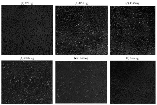 Nutrients 16 01820 g0a2
