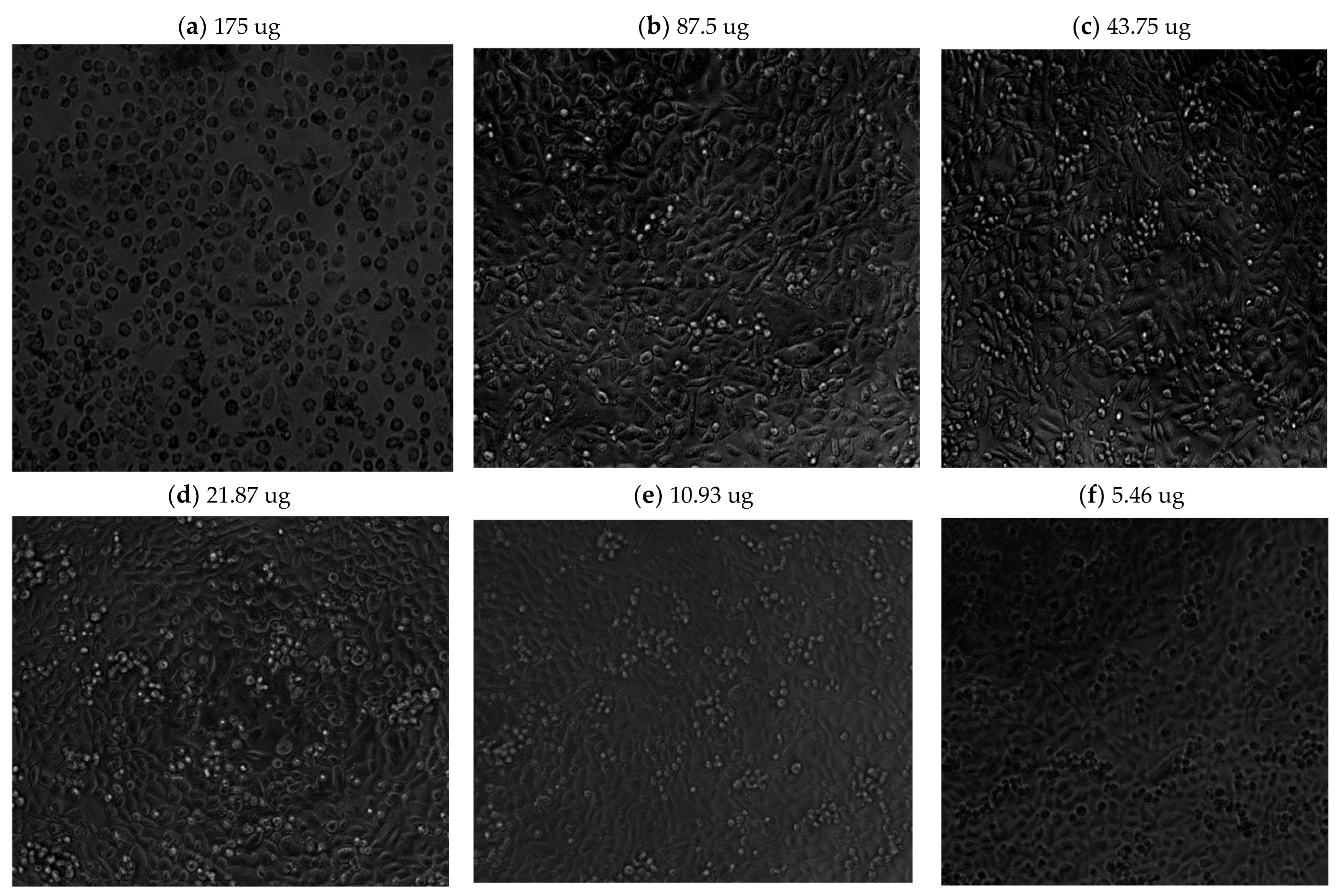 Nutrients 16 01820 g0a2
