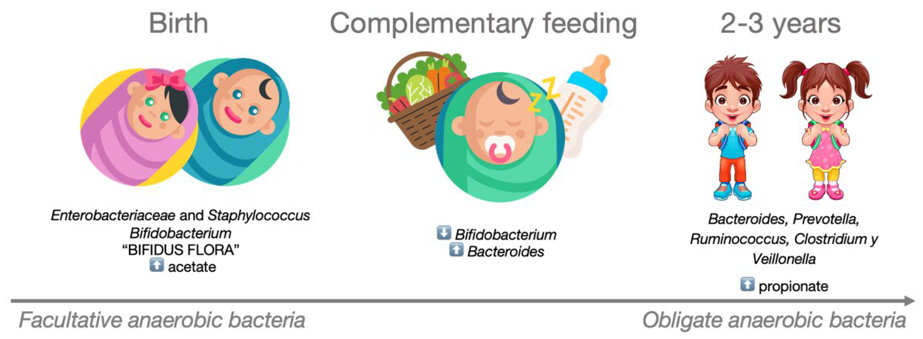 Nutrients 16 01823 g003