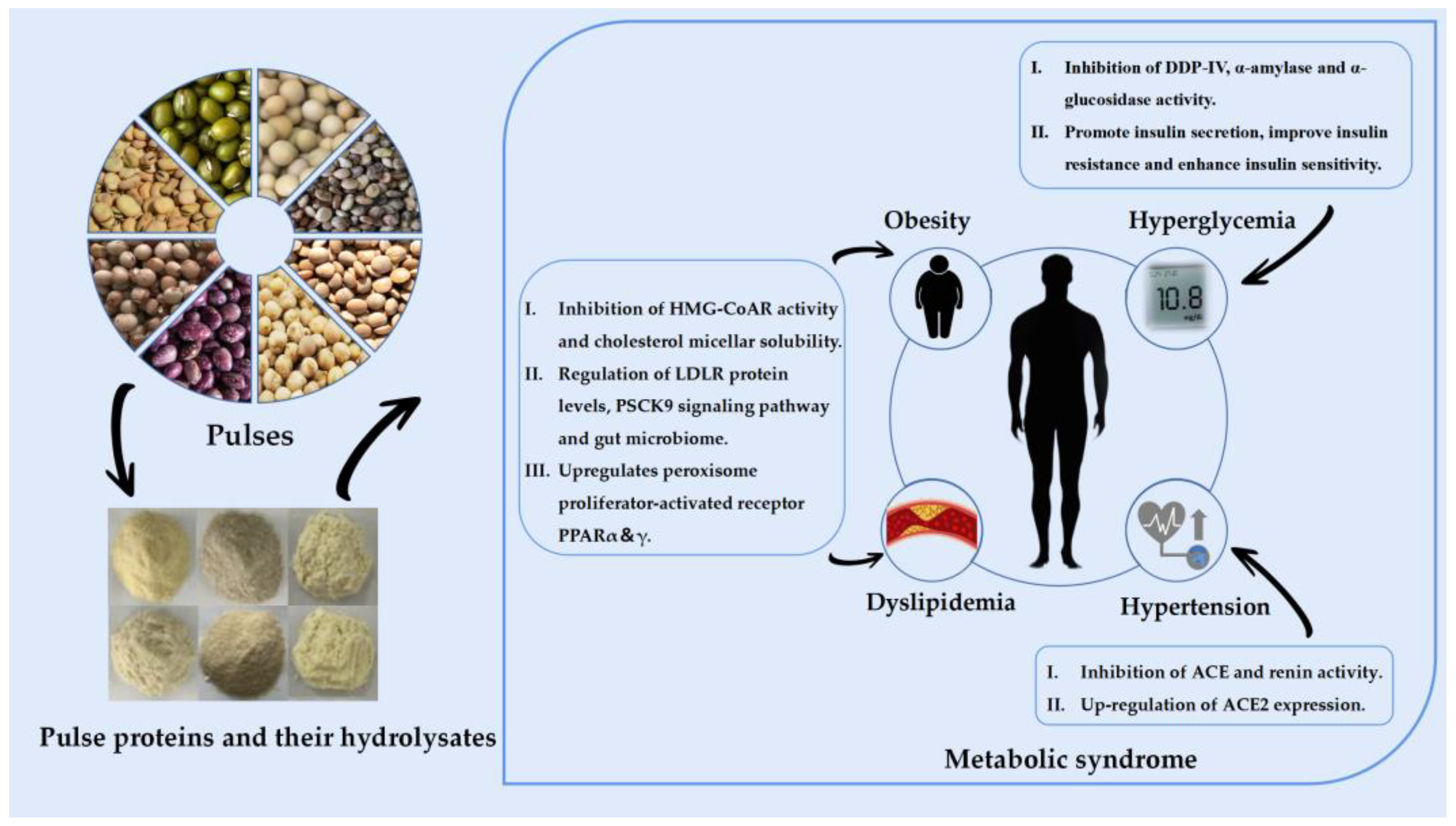 Nutrients 16 01845 g001