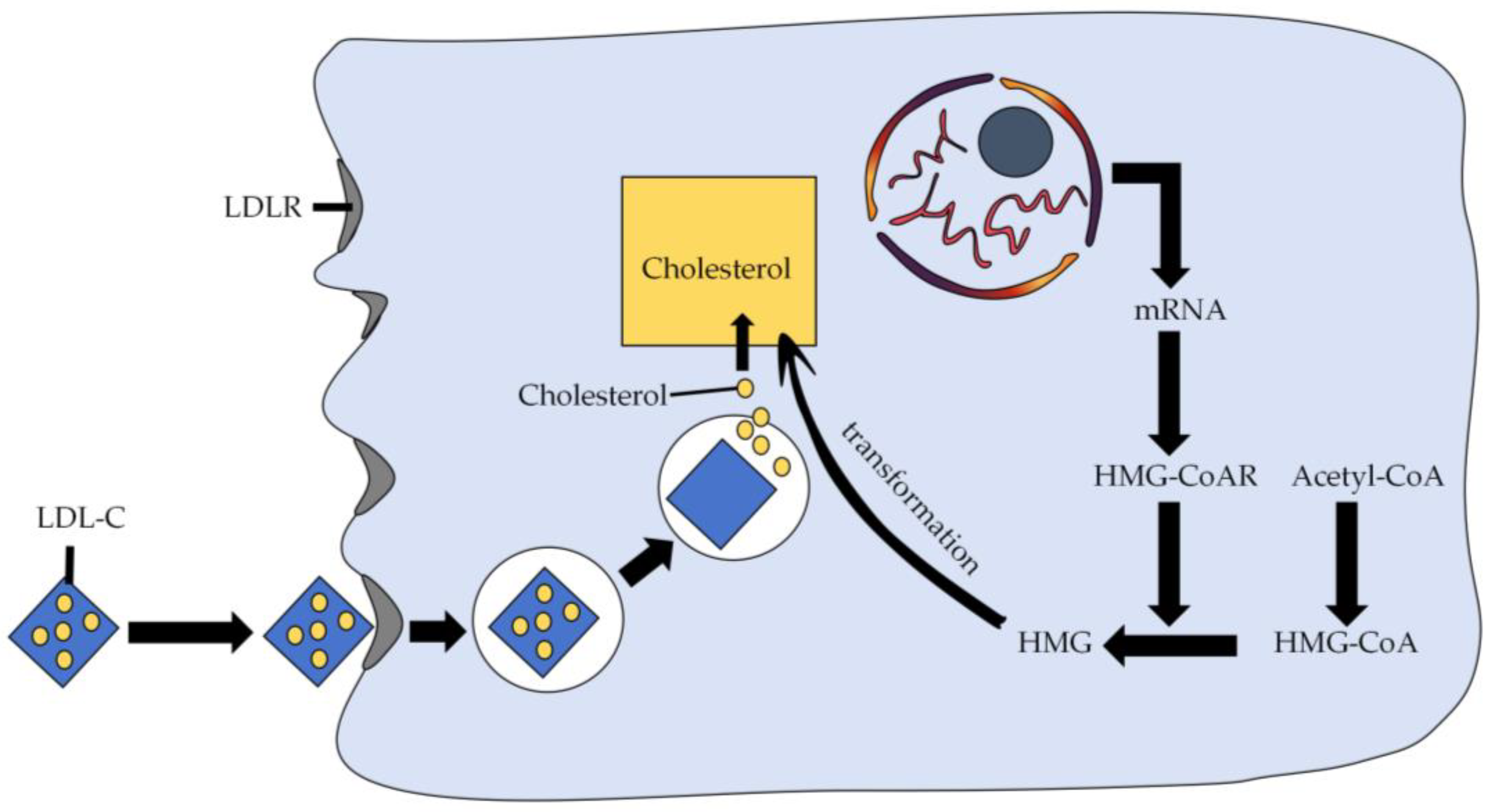 Nutrients 16 01845 g003