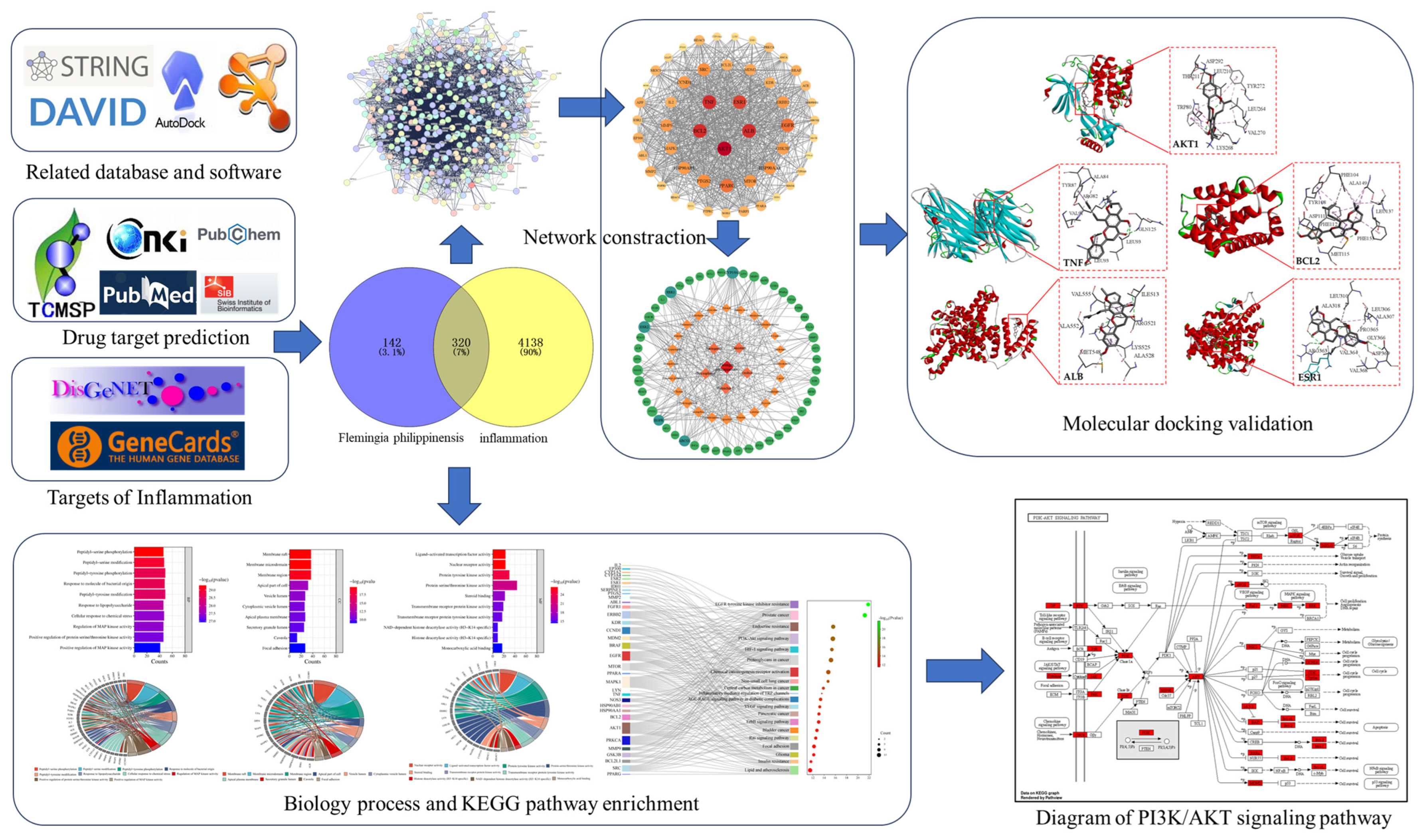 Nutrients 16 01850 g001