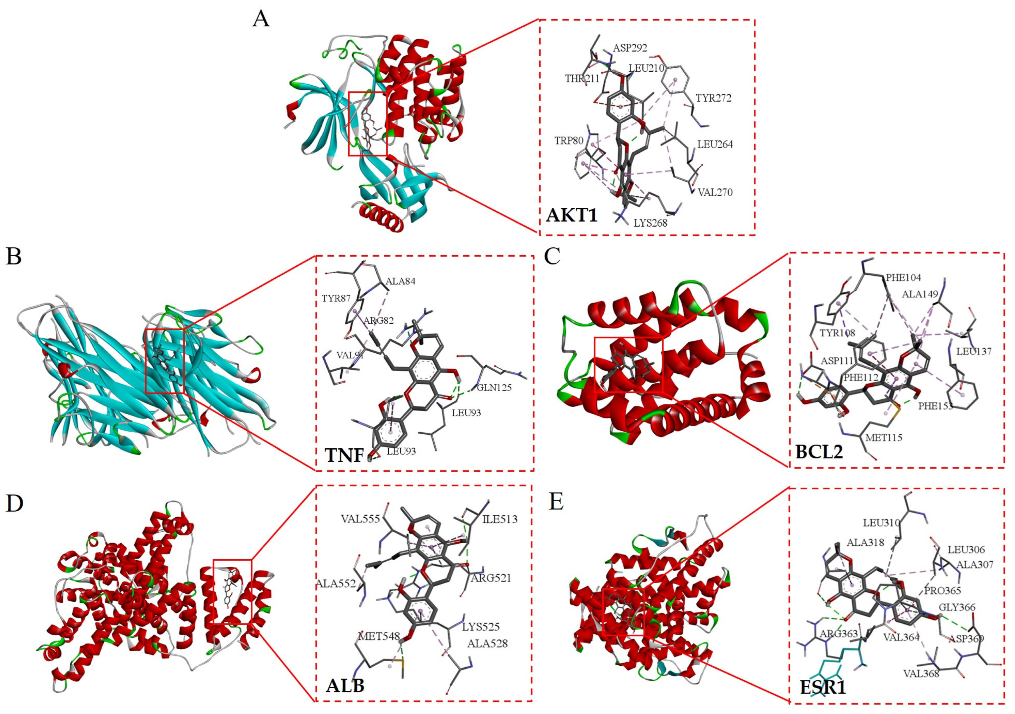 Nutrients 16 01850 g008