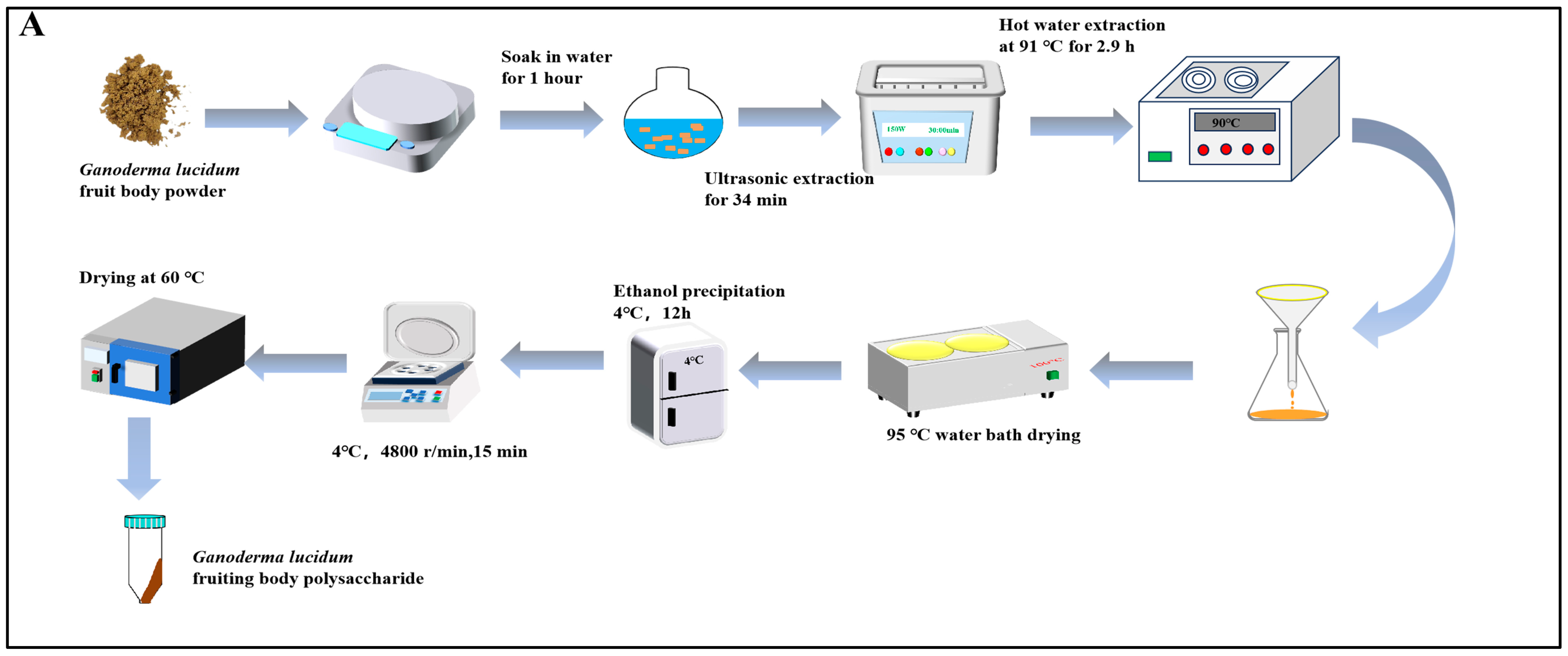 Nutrients 16 01859 g001a