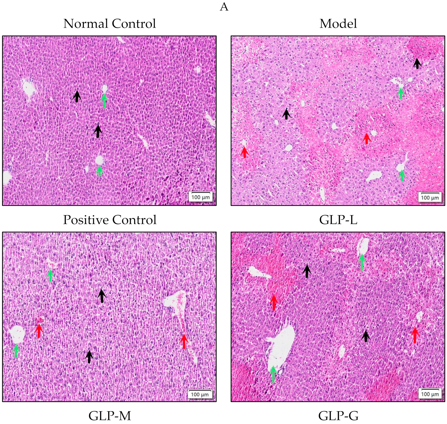 Nutrients 16 01859 g003a
