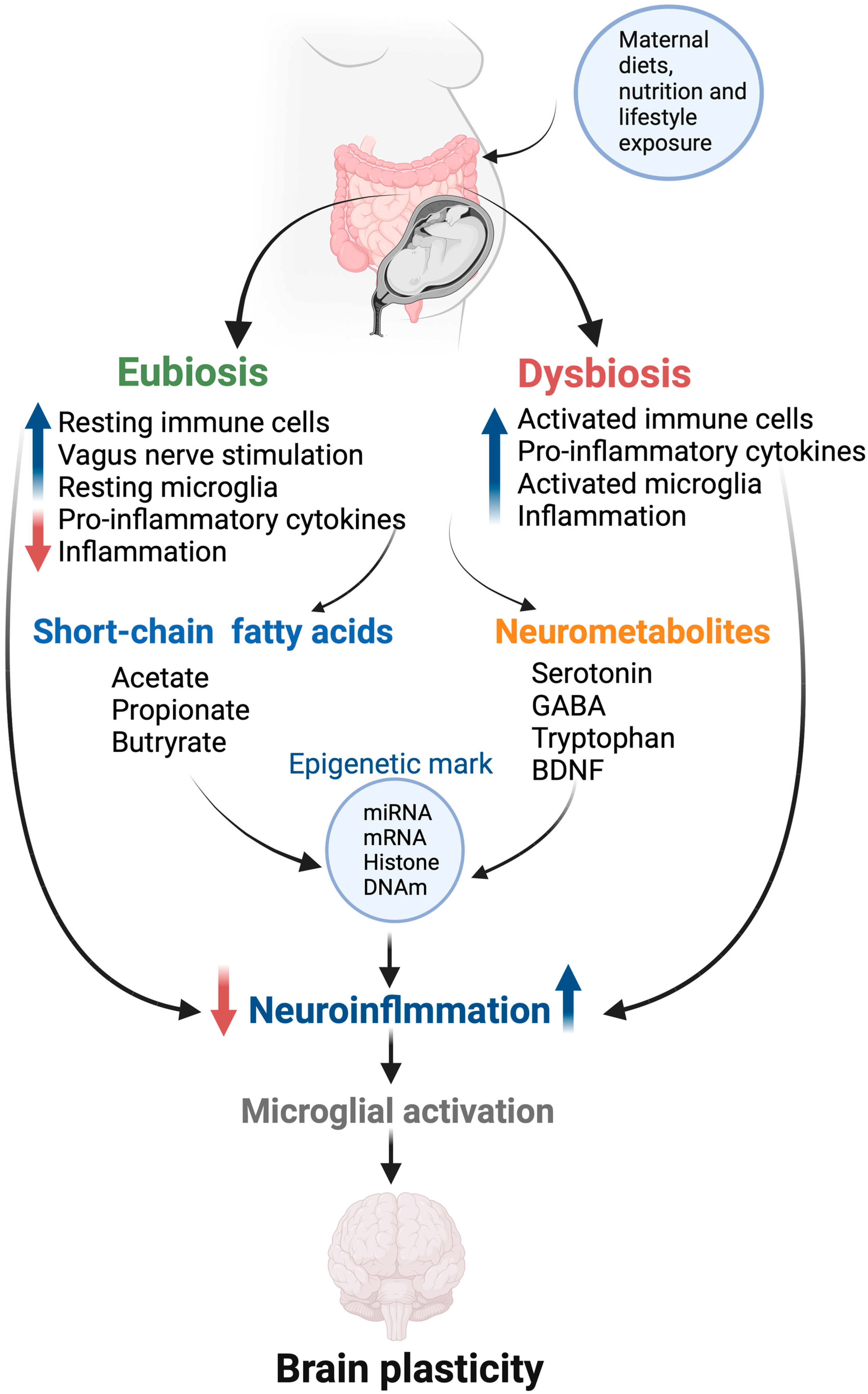 Nutrients 16 01860 g003