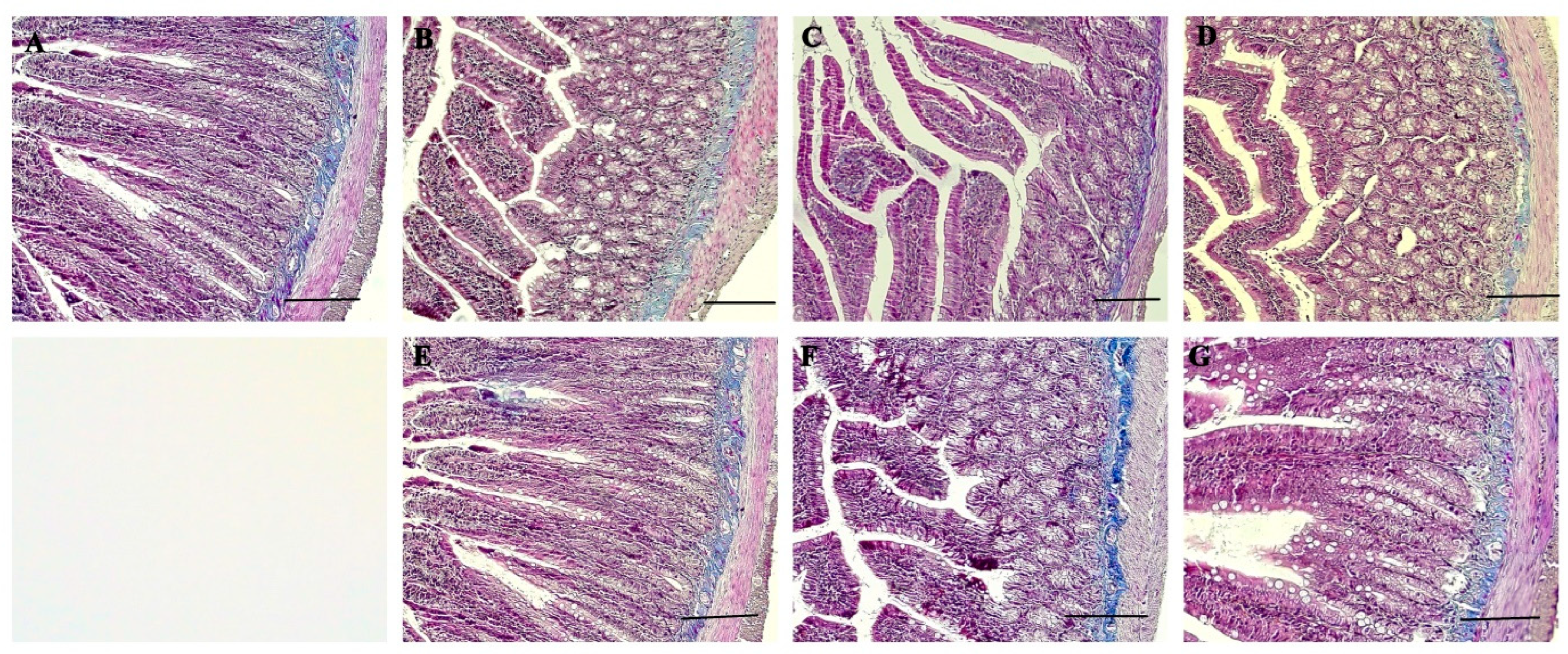 Nutrients 16 01868 g003