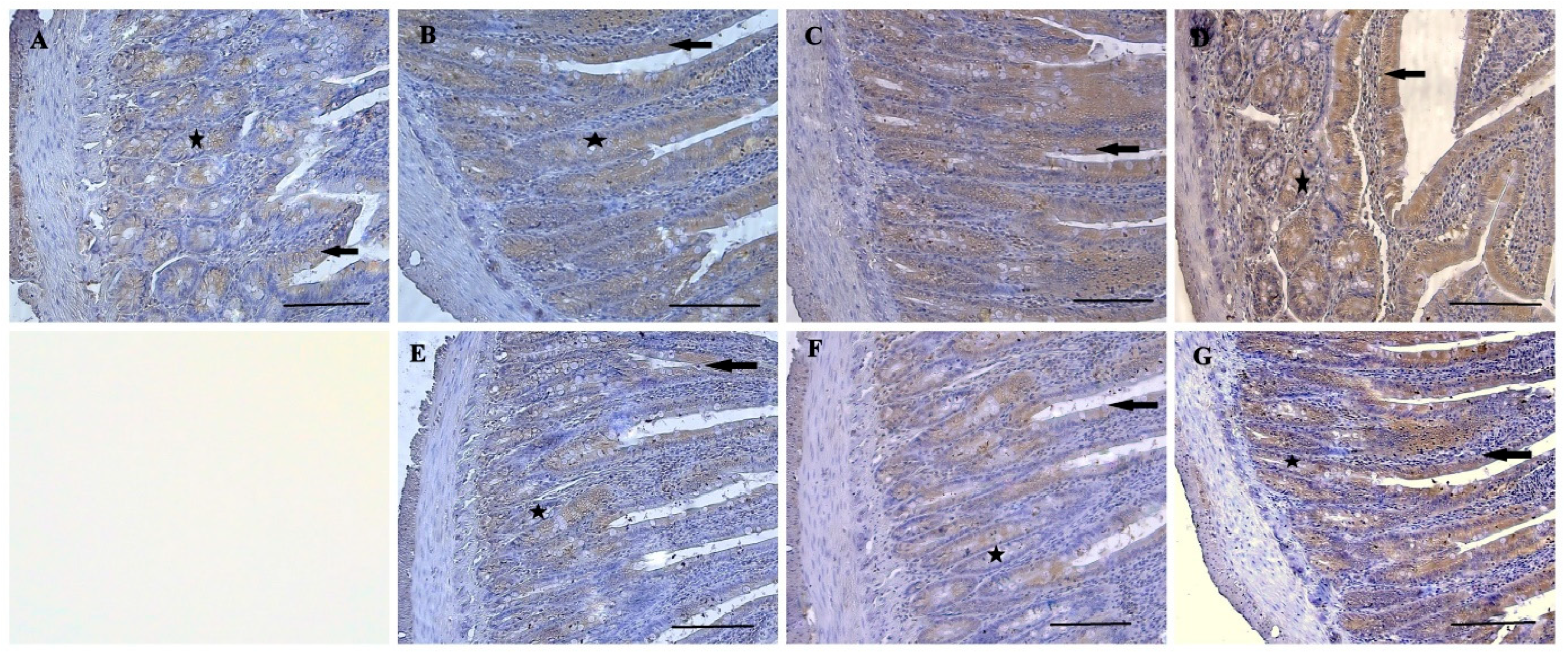 Nutrients 16 01868 g004
