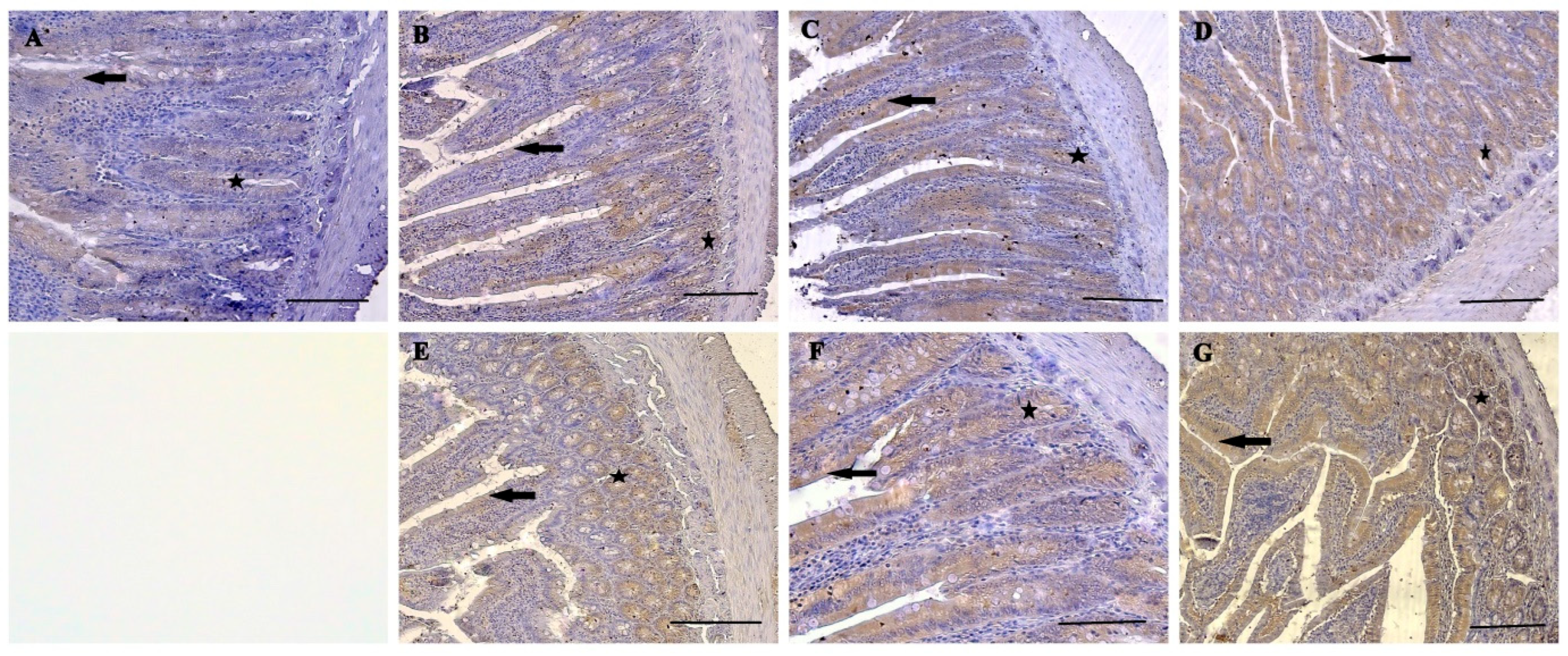 Nutrients 16 01868 g005