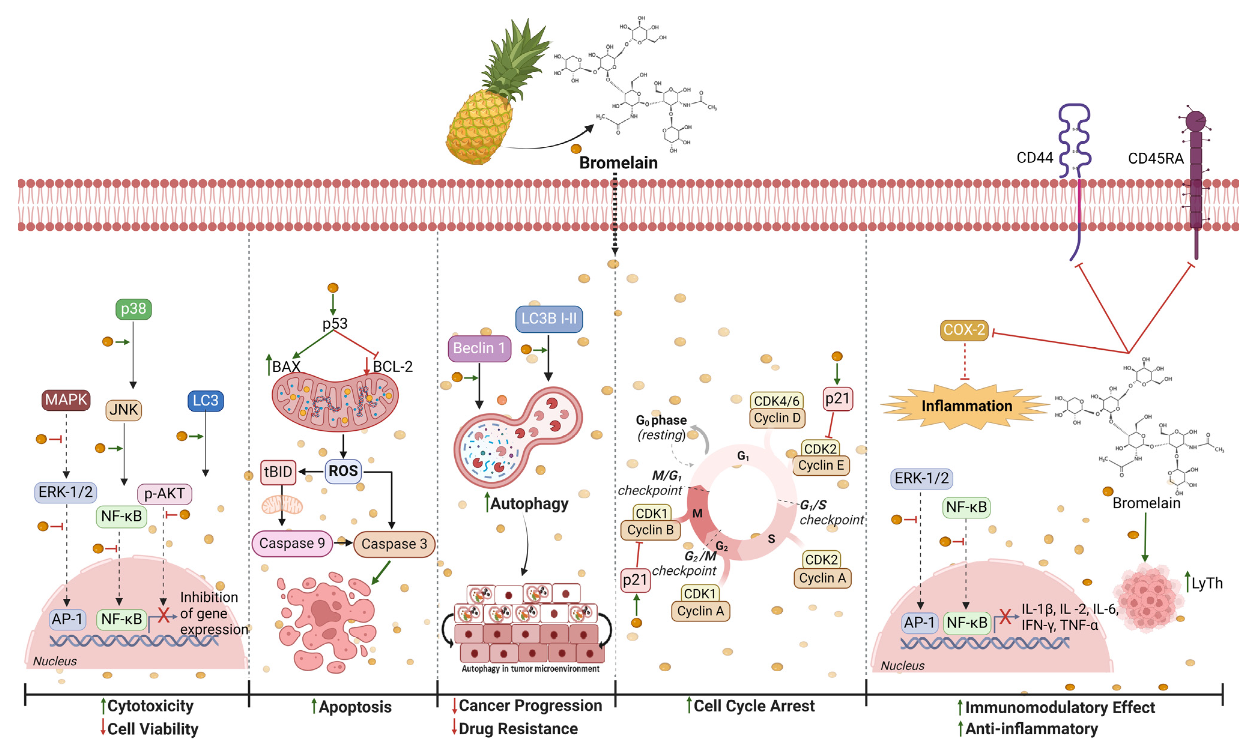 Nutrients 16 01883 g002 Nutrients 16 01883 g002