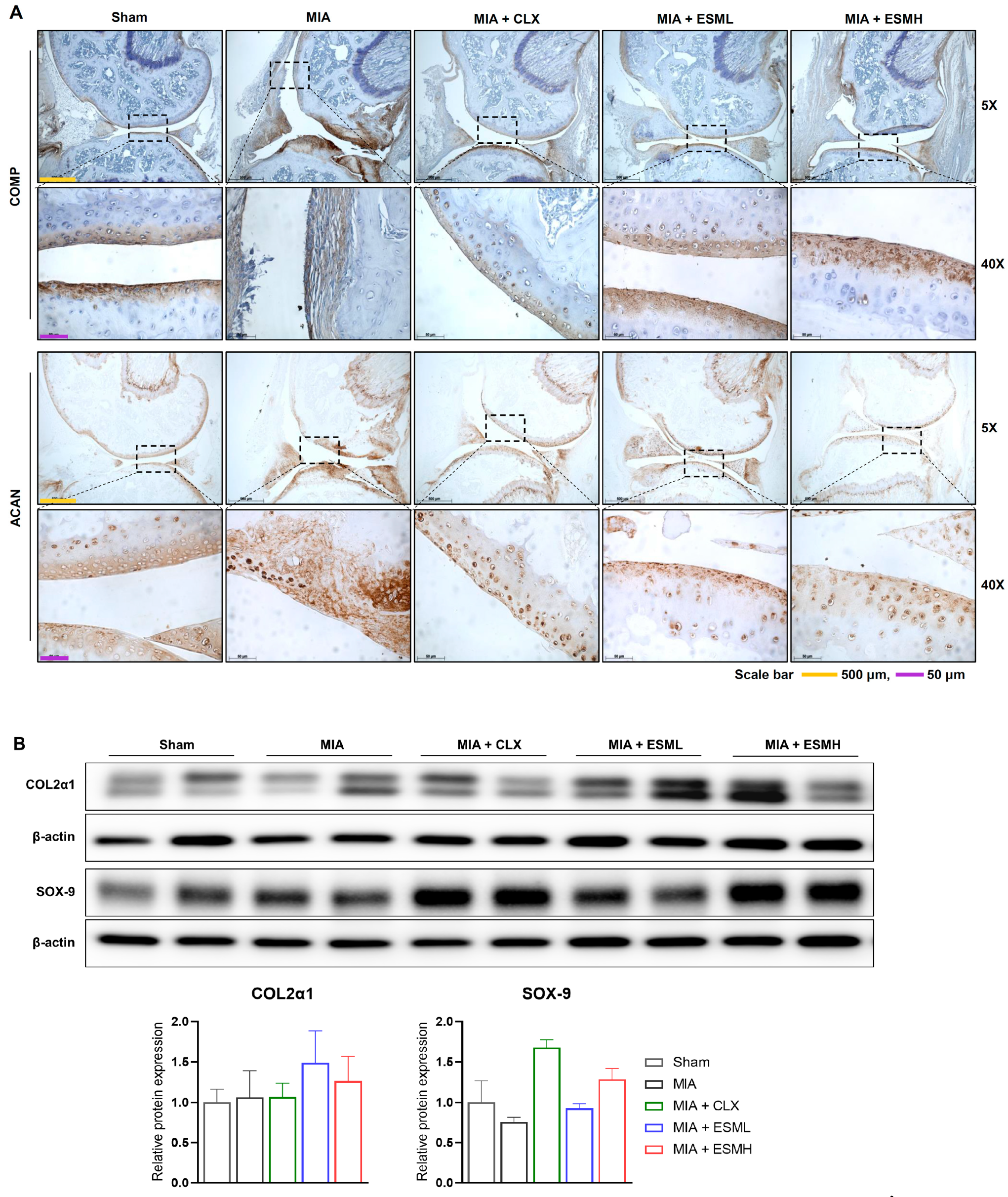 Nutrients 16 01885 g007