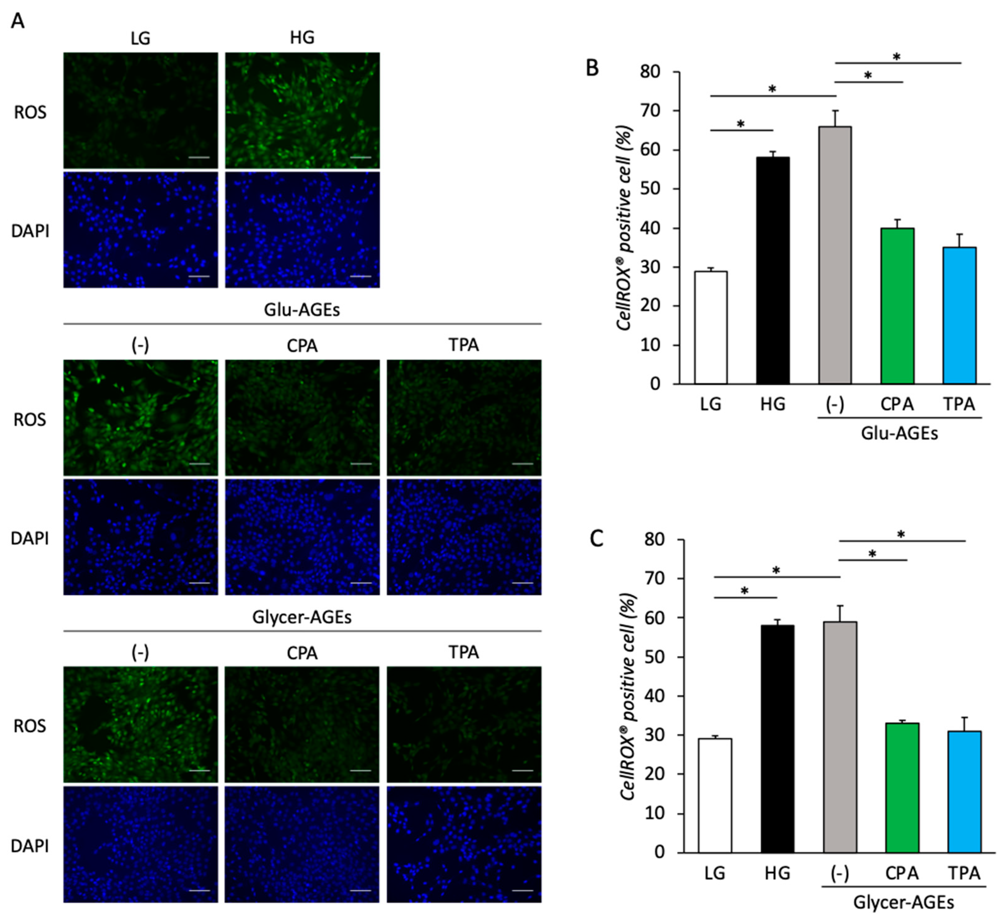 Nutrients 16 01898 g004