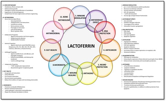 Nutrients 16 01906 g001