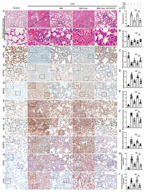 Nutrients 16 01915 g007