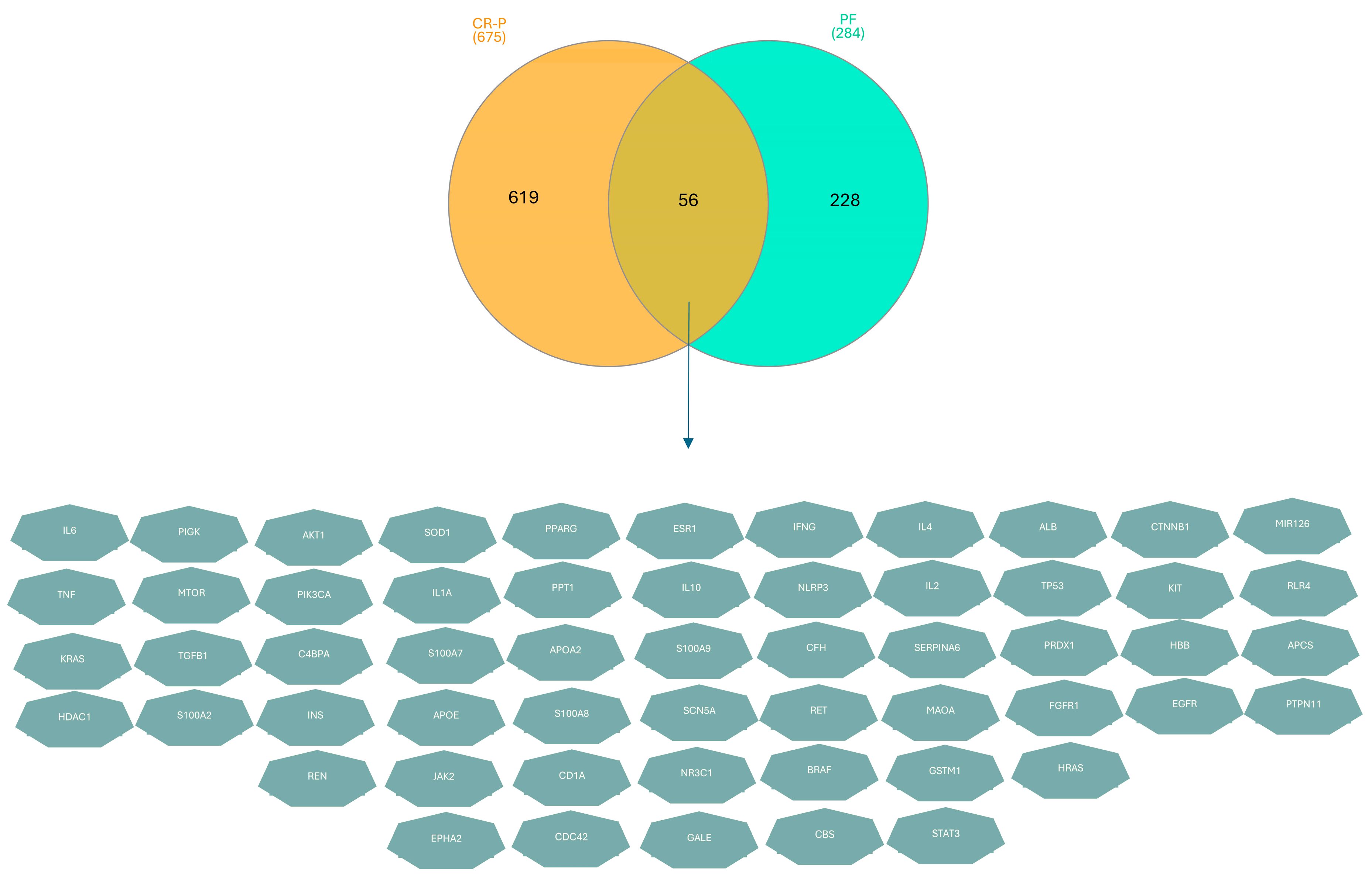 Nutrients 16 01934 g002