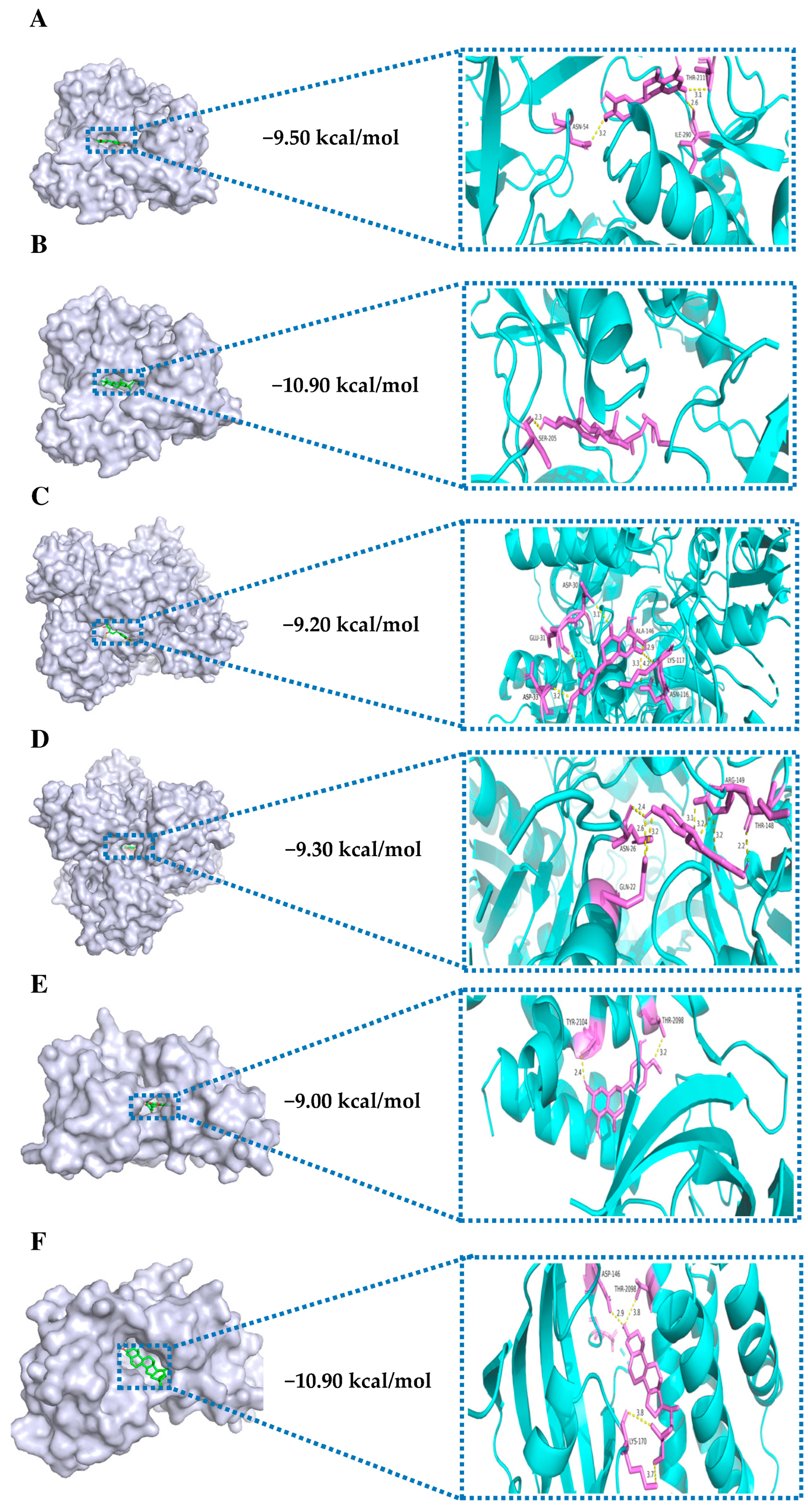 Nutrients 16 01934 g007